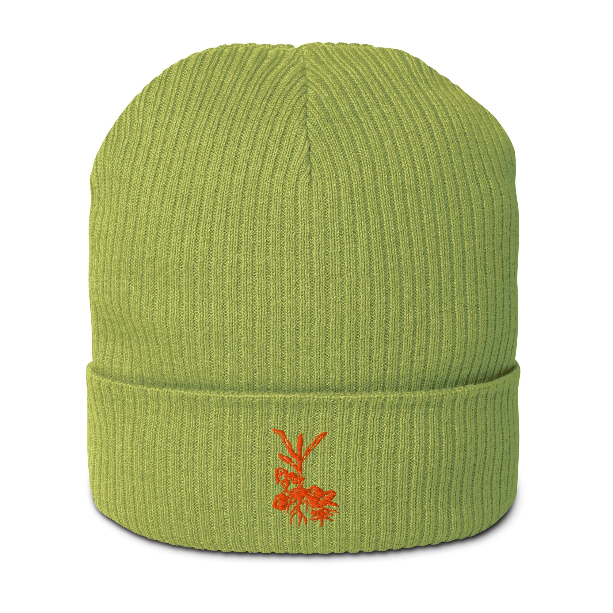 organic-ribbed-beanie-leaf-green-front-6adf80a8ac719.jpg