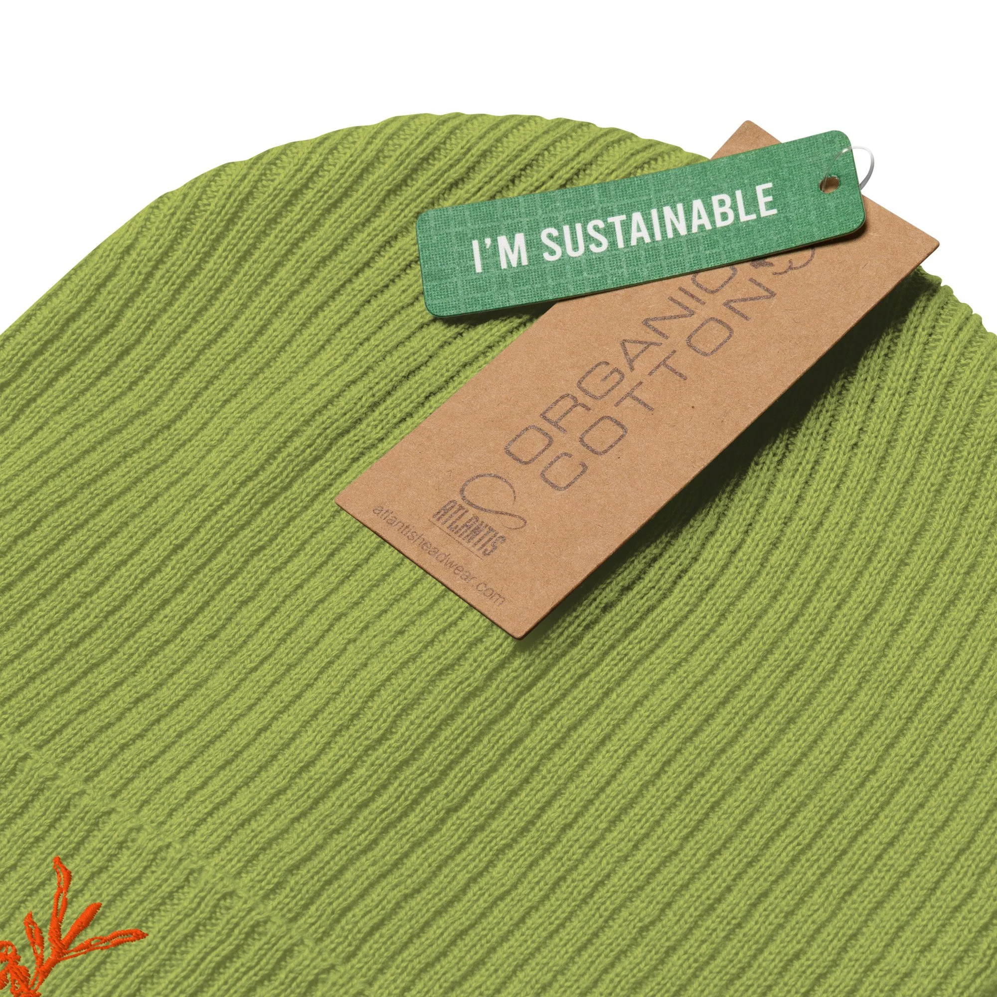 organic-ribbed-beanie-leaf-green-product-details-6adf80a8ad1c3.jpg