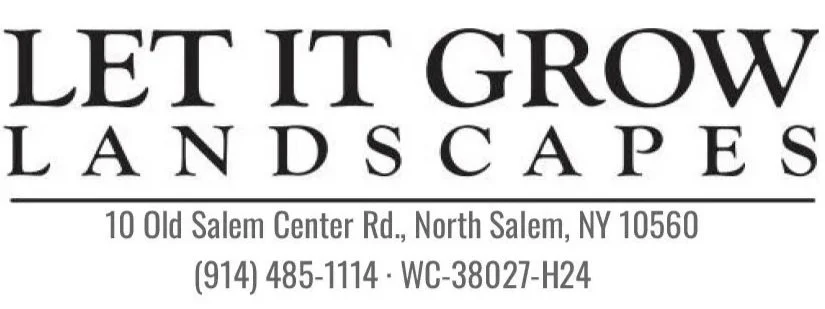 LIG Title3sistersLicense.jpg