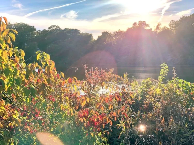 5 Things to Shed Right Now