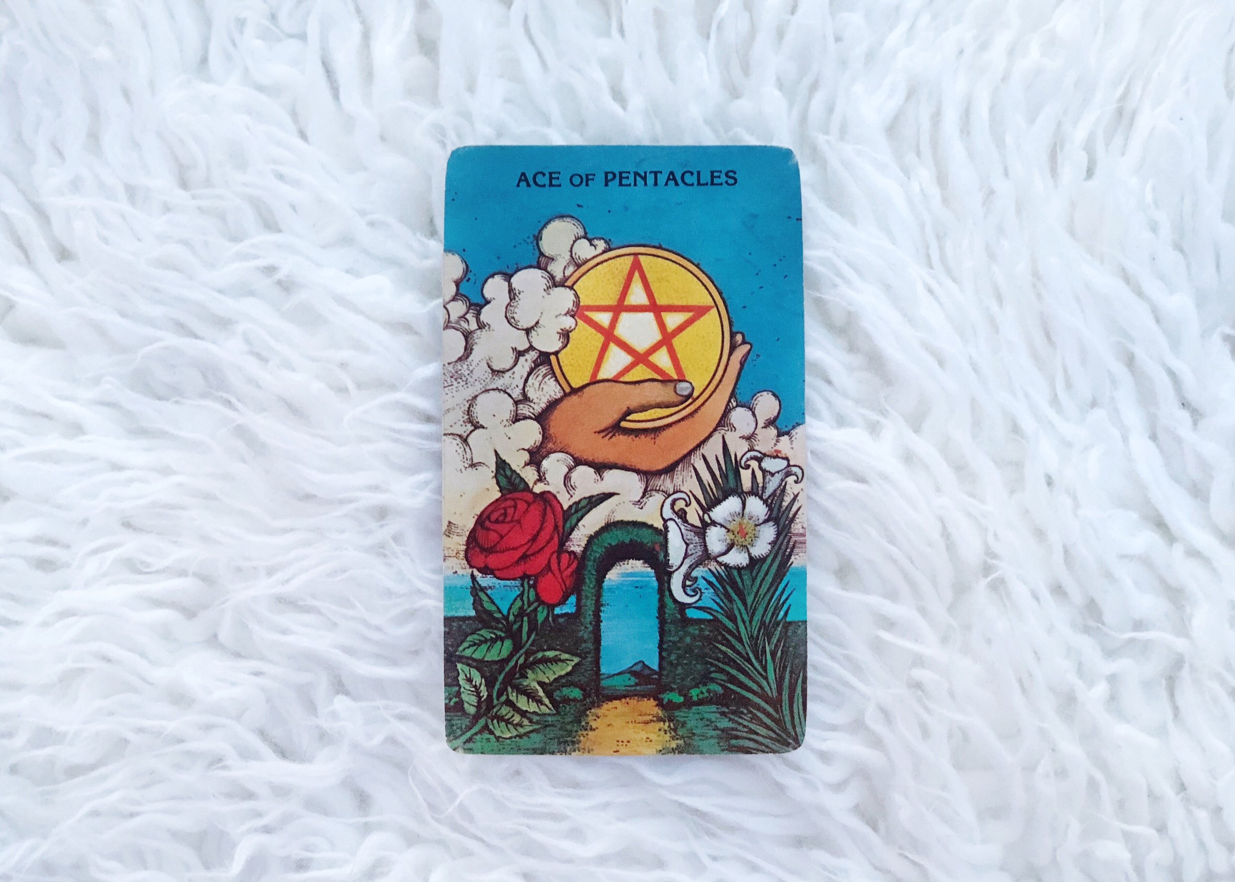 Tarot Card of the Month - January