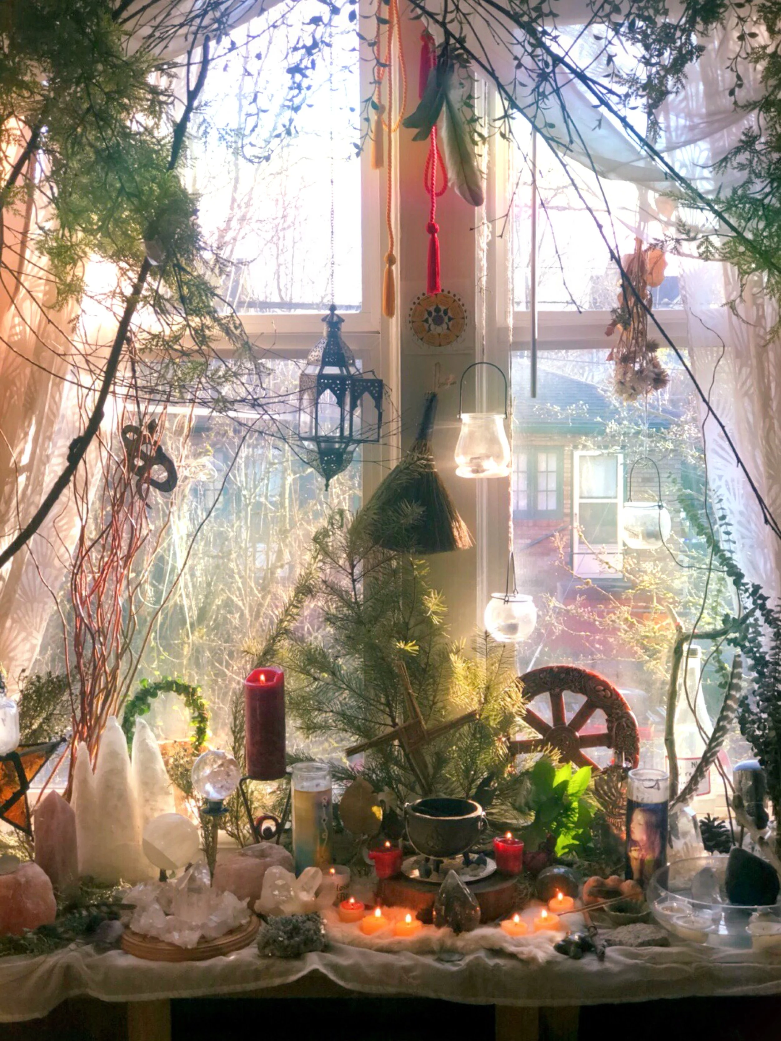 February Kozmic Guidance — Time to Rebirth, Renew, and Rejuvenate 