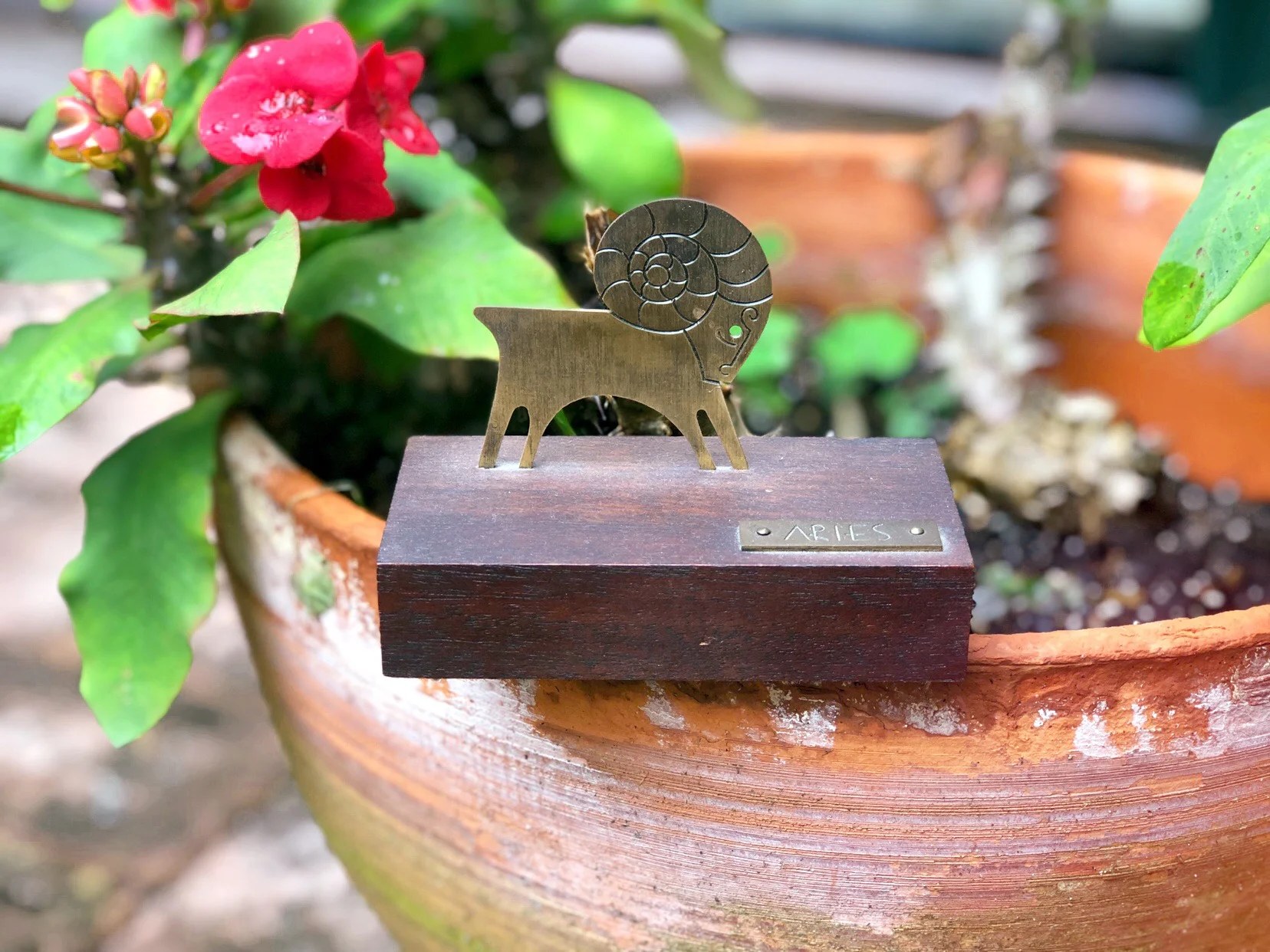 April Reflection and Meditation