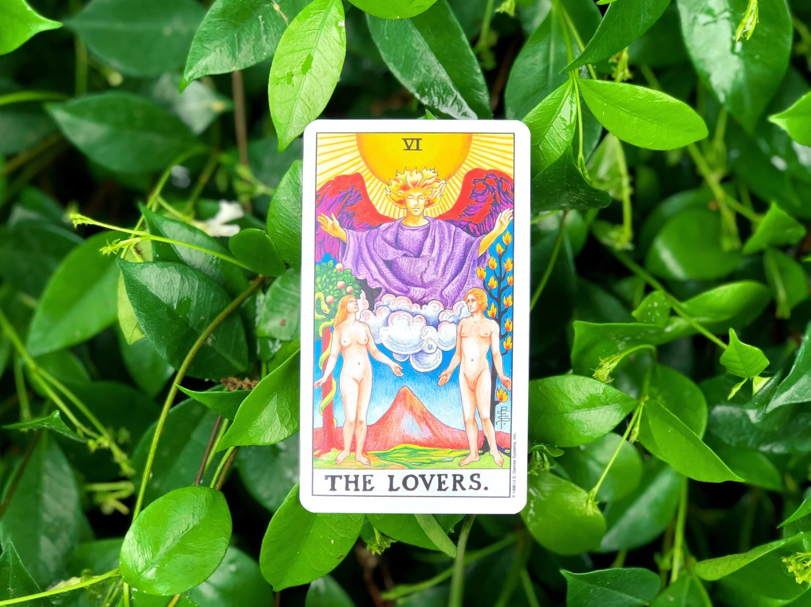 Tarot Card of the Month - April