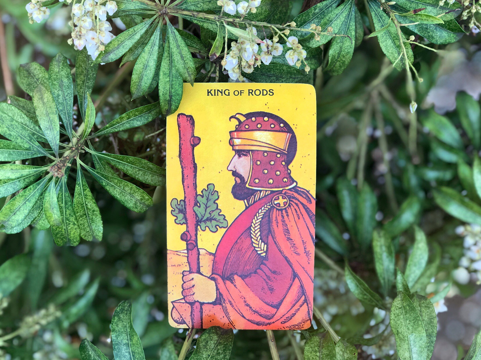 Tarot Card of the Month - May