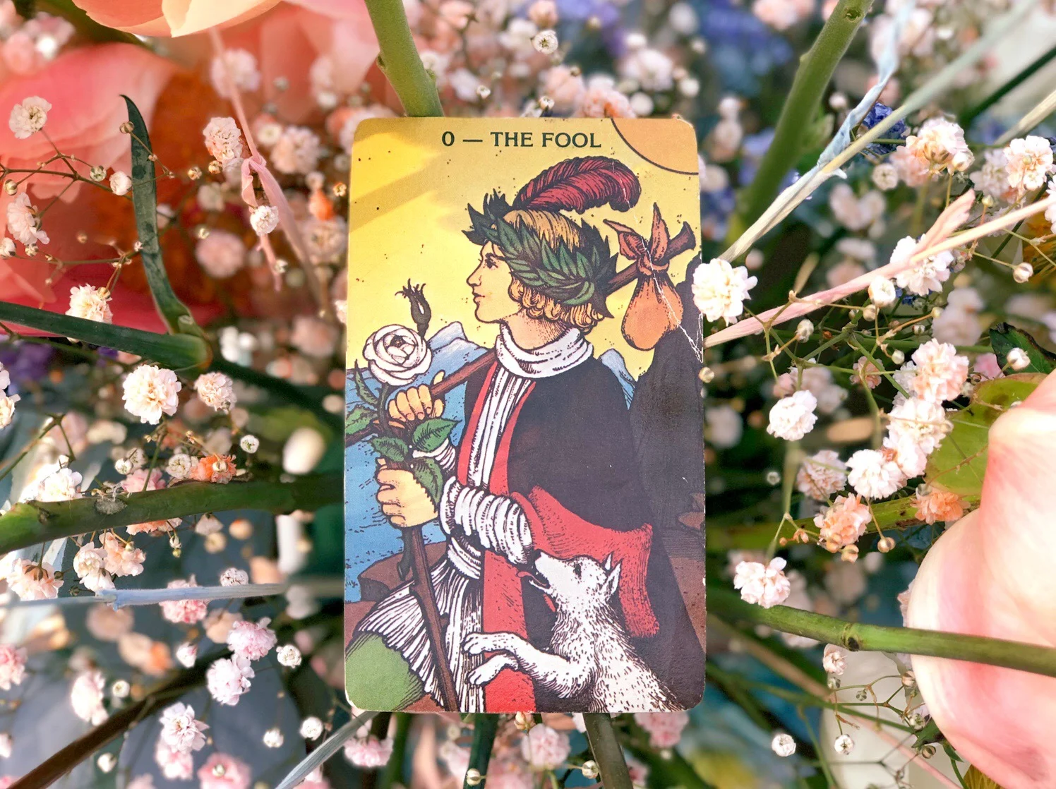 Tarot Card of the Month - JANUARY