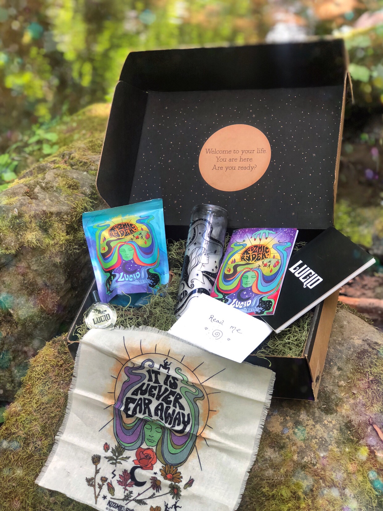 Your Guide to Everything Lucid Dreaming!