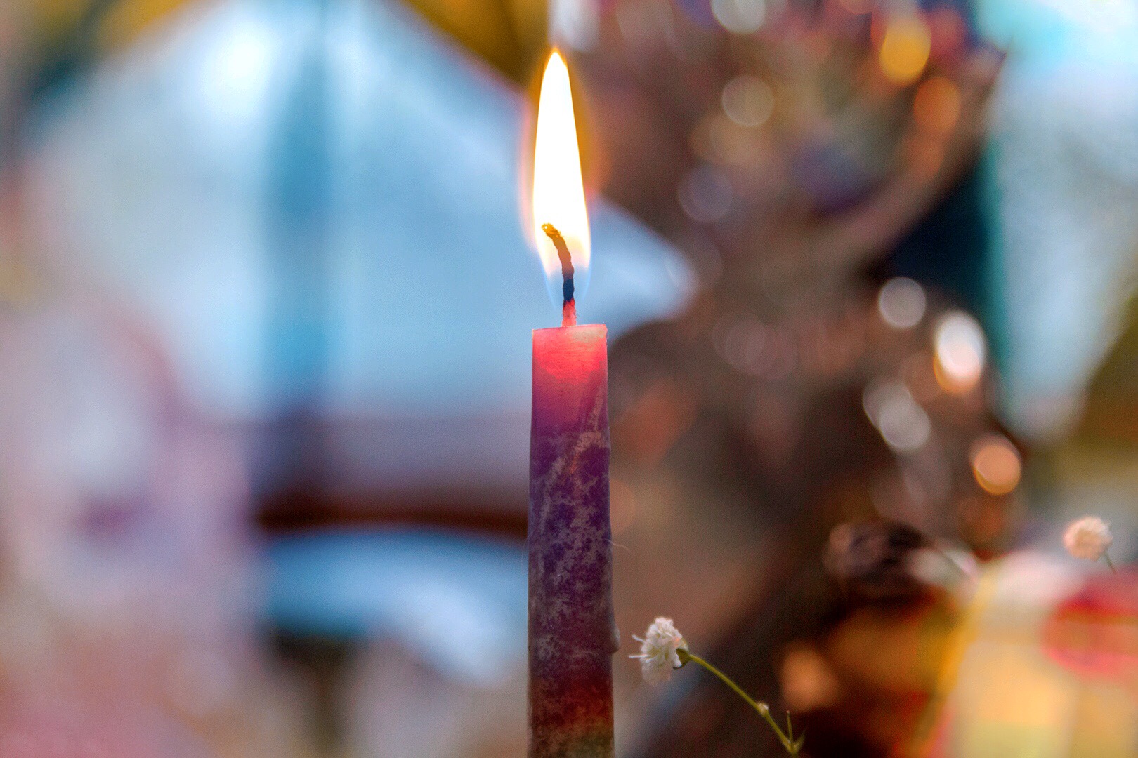 Making Love with Life Itself