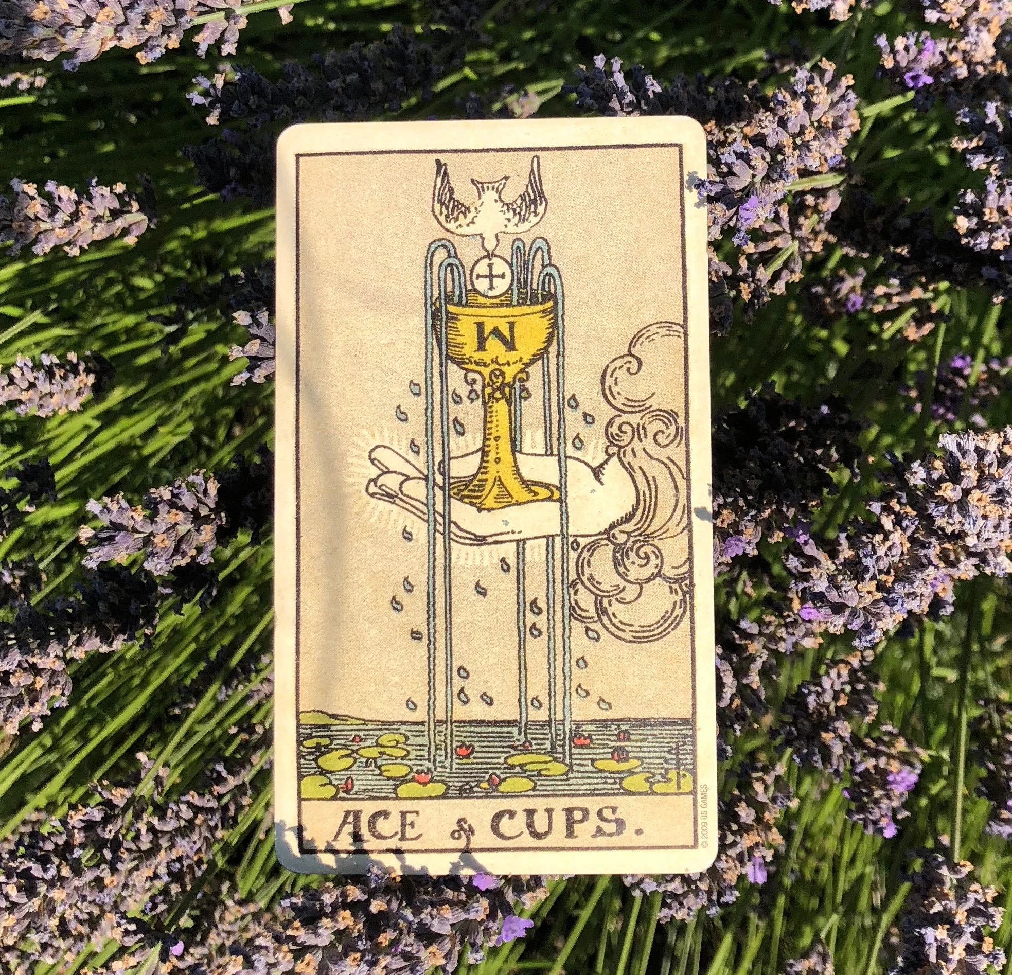 Tarot of the Month - Ace of Cups