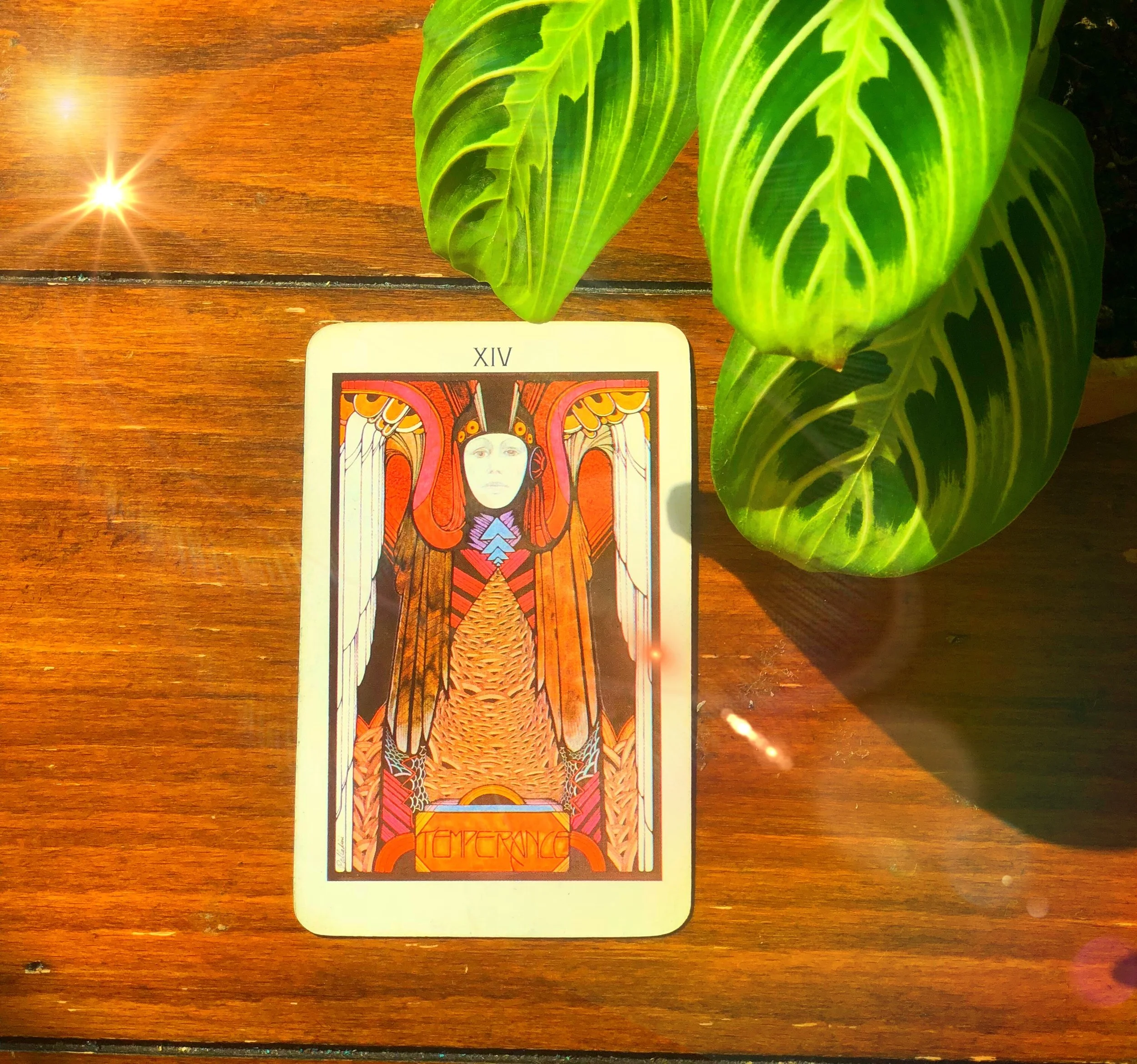 September Tarot of the Month - Temperance 