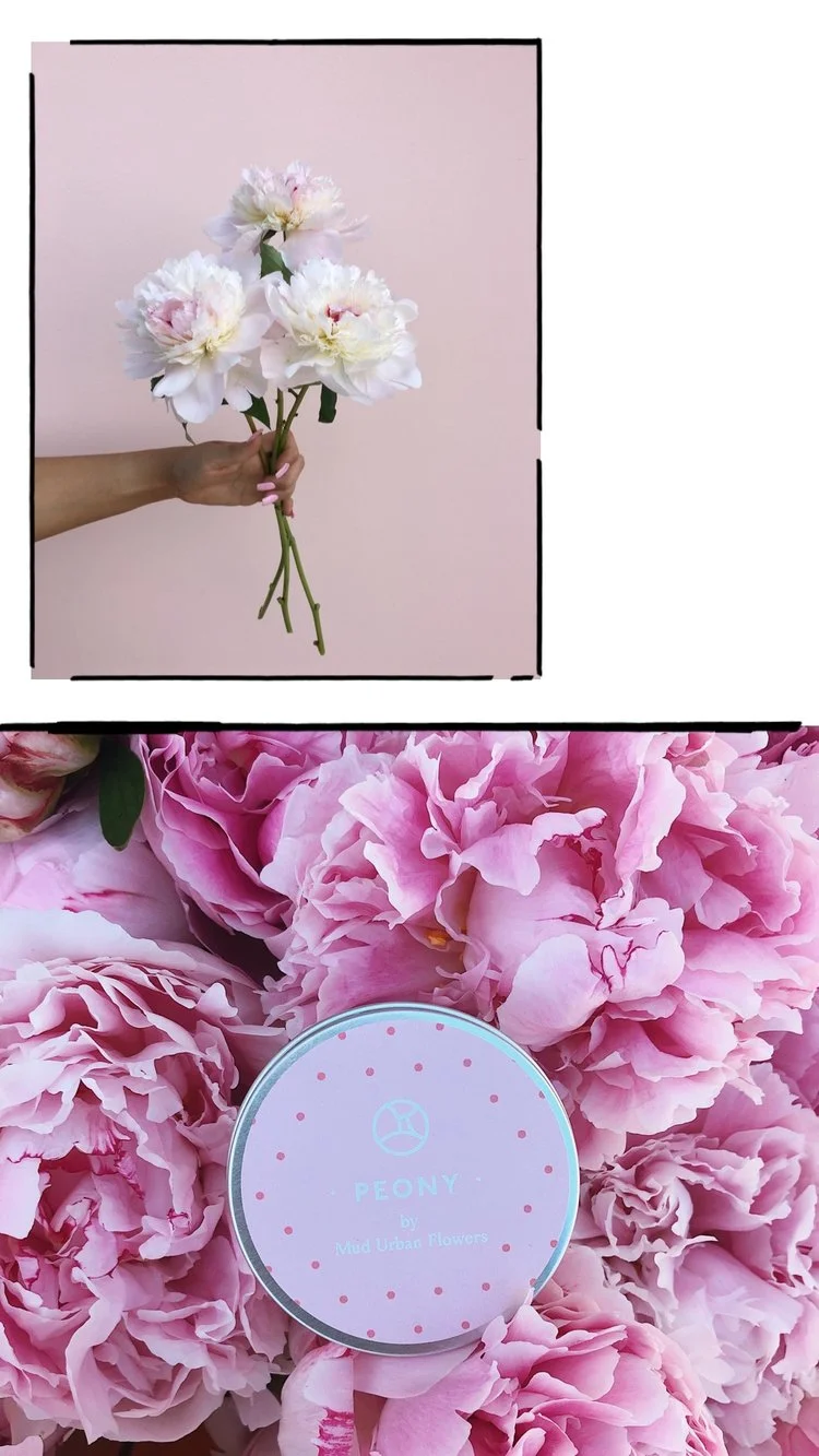 AfterlightImage.jpg