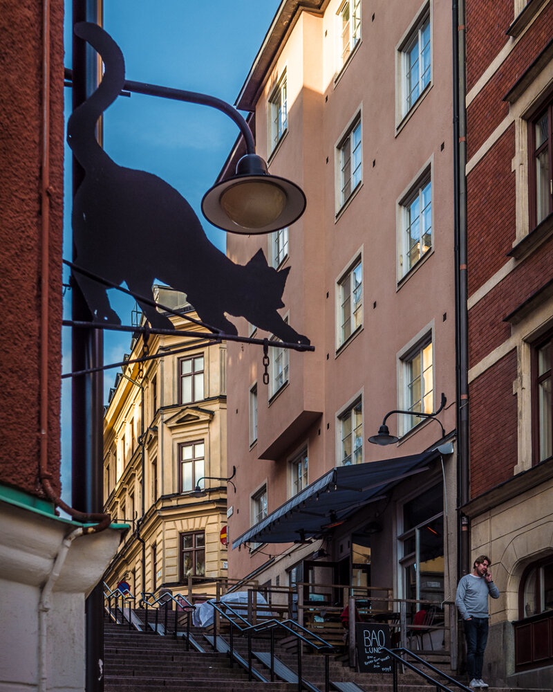 3 Лучшие смотровые площадки Стокгольма экскурсия на русском языке 6.jpg