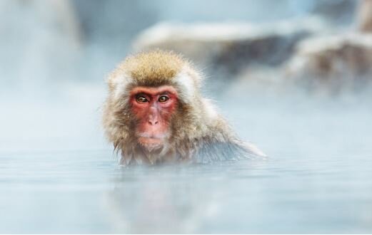 Meine Inseltage – Achtsame Auszeiten im Alltag