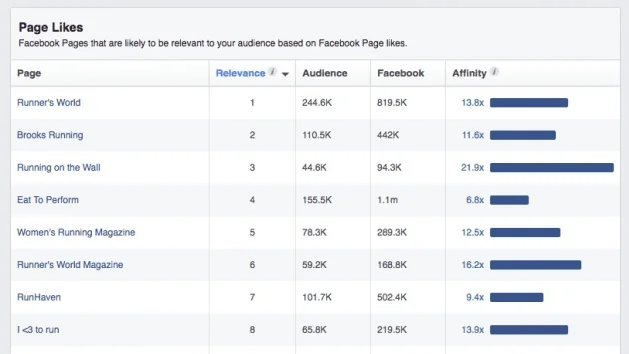 How Facebook Audience Insights reports interests. In this image, the interest is running.