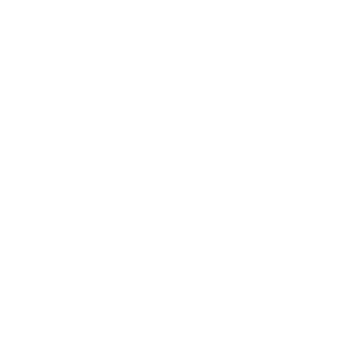 Icon-Logo02b.png