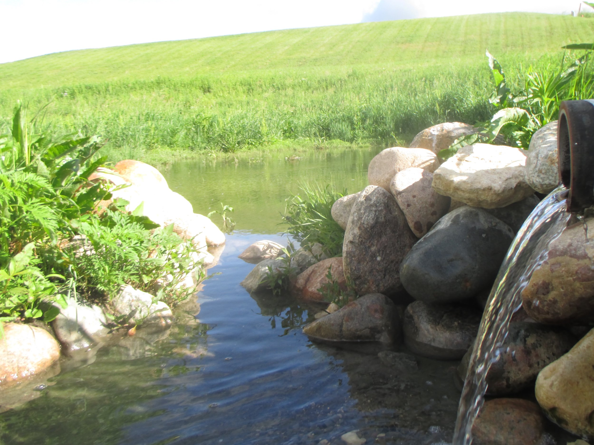 Clean water to environment.jpg