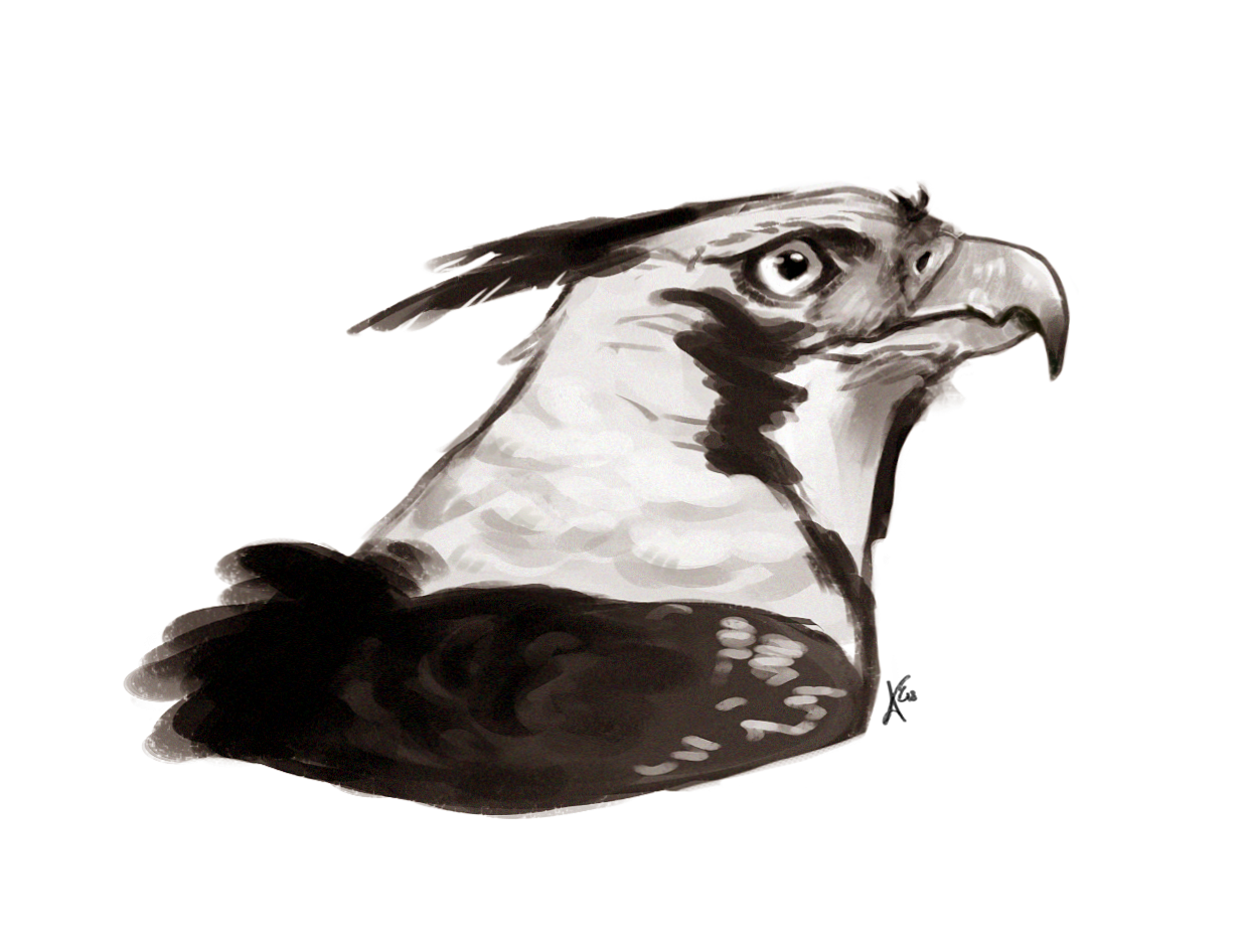 fearan sketch render.png