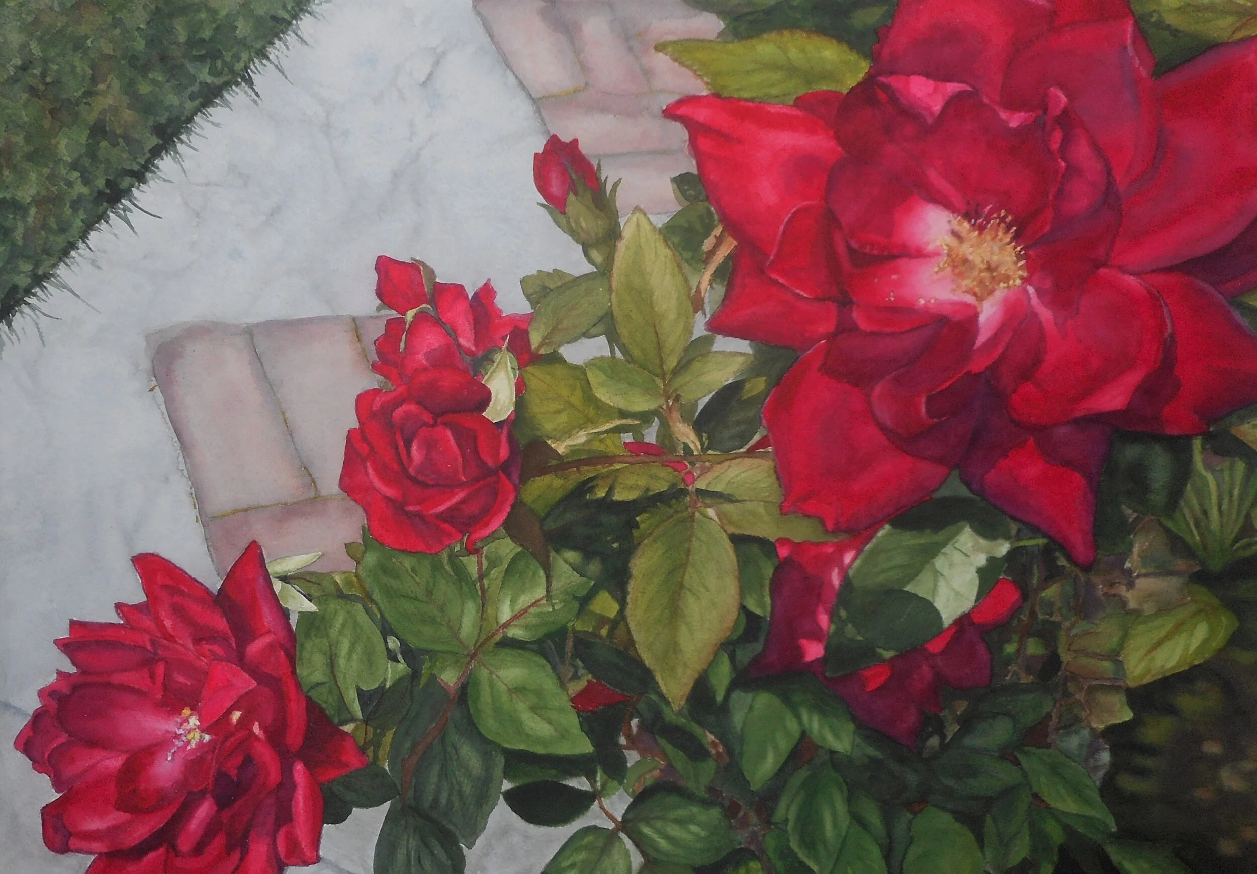 2018.1 Rosie Glow.JPG