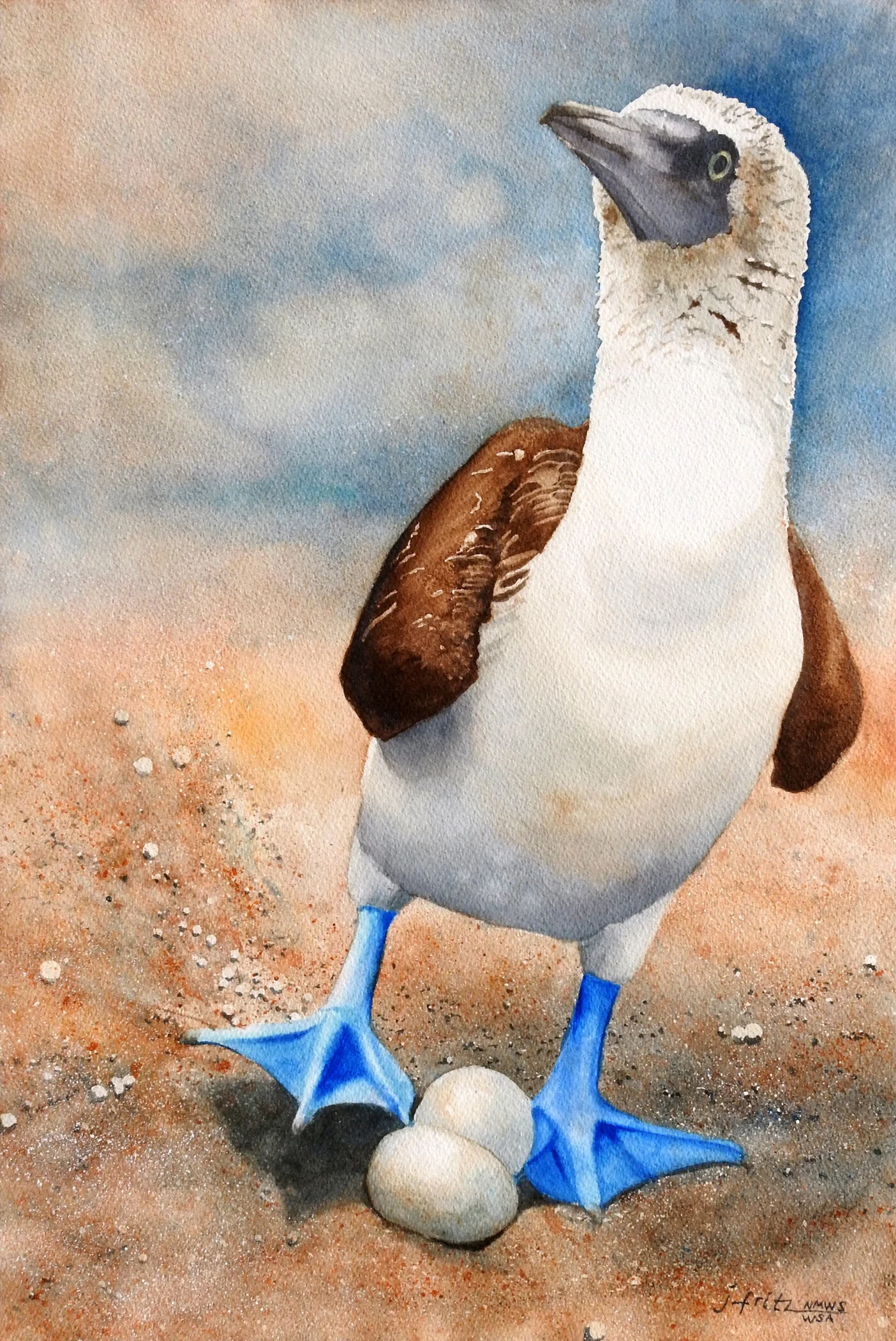 2098.1 Two Eggs Over Easy.jpg