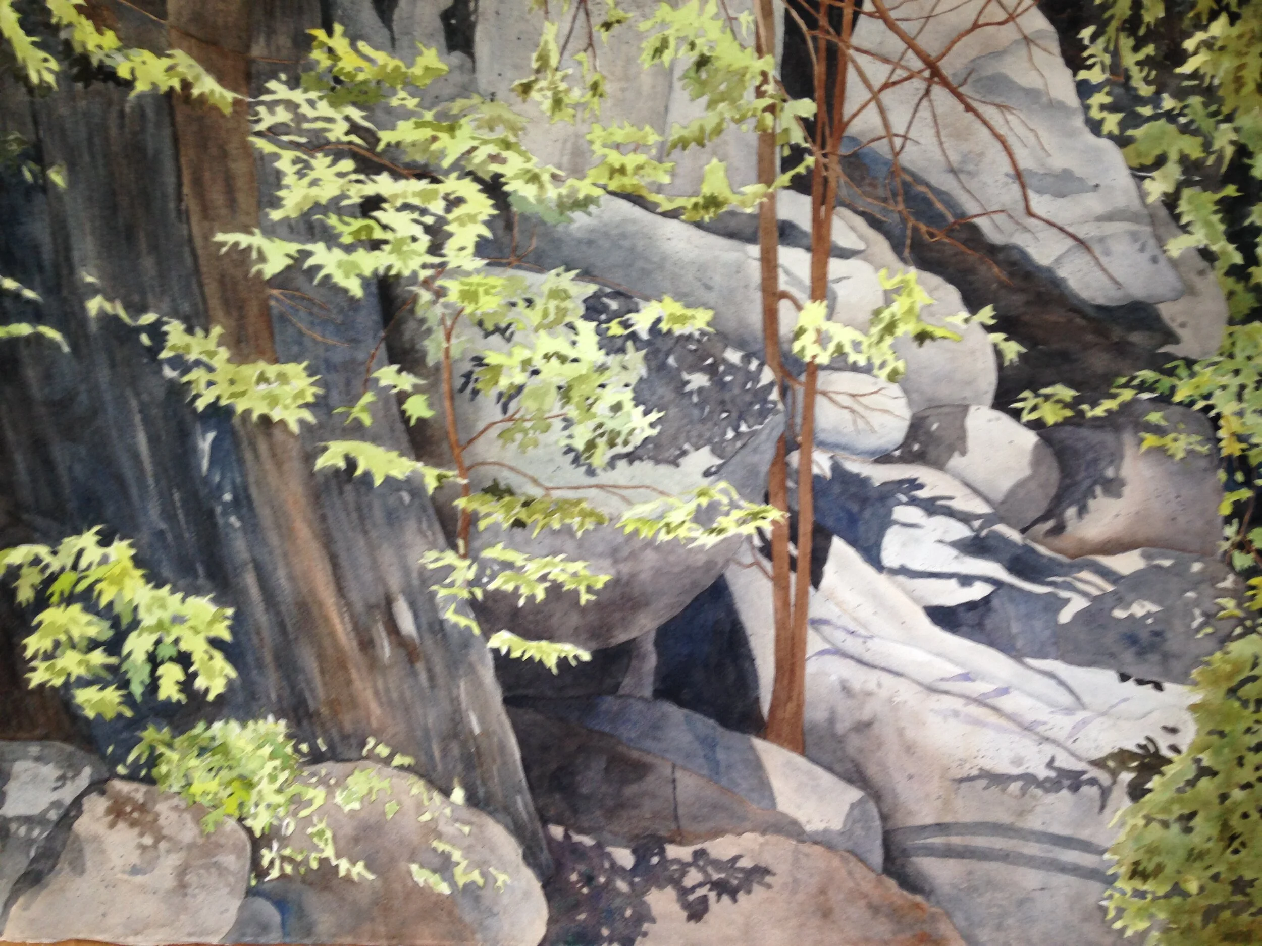 2053.2 Pilot Mountain.JPG