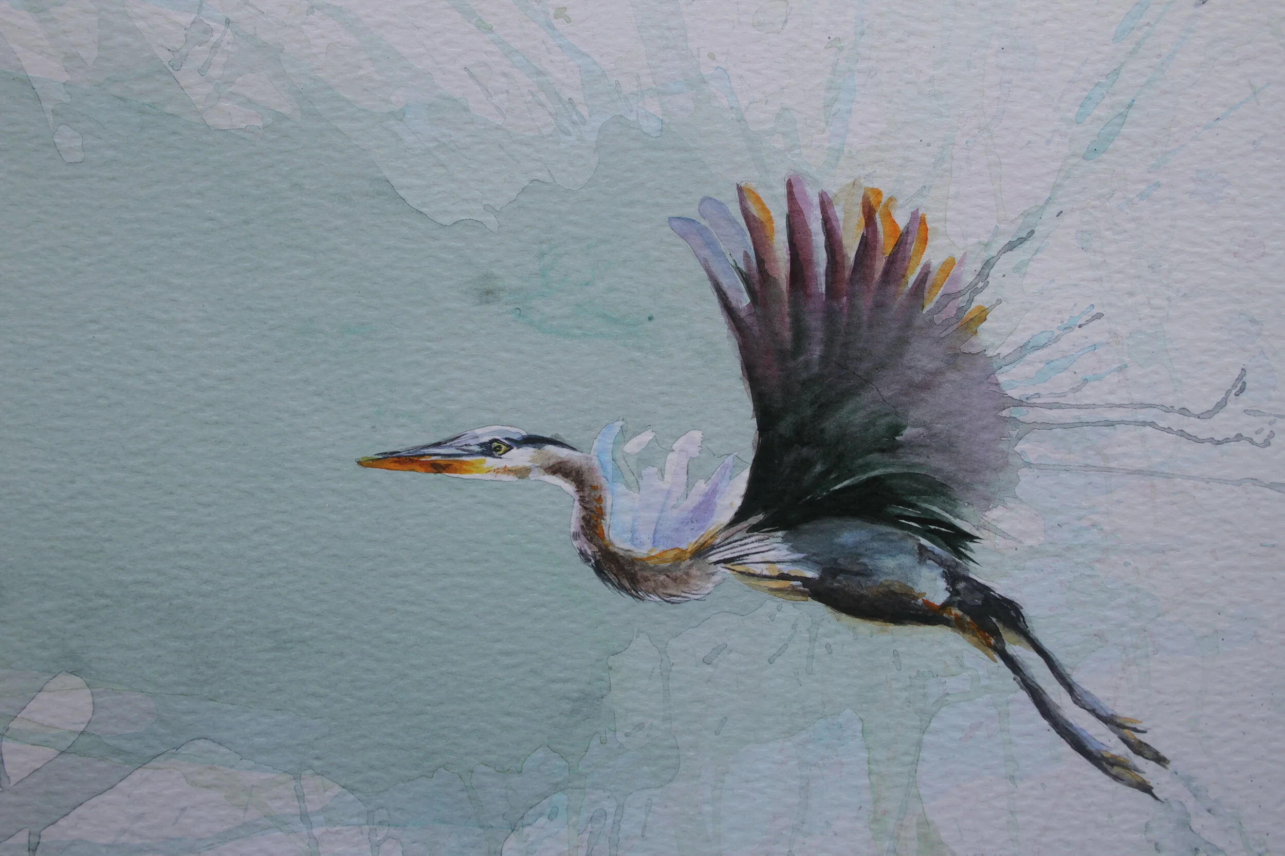 2142 Taking Off - Linda Schmitt.JPG