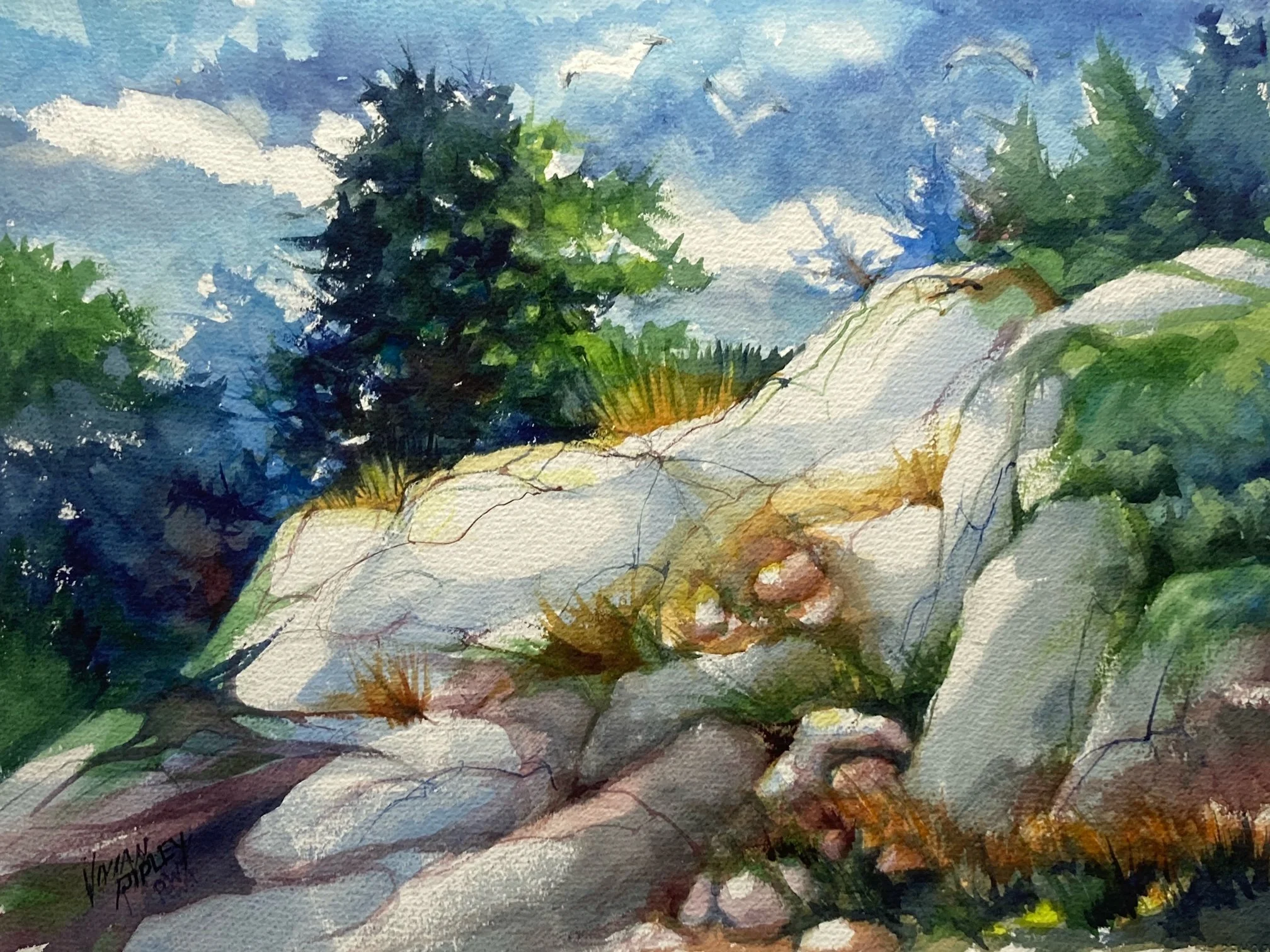 Near the Summit - Great Mountain