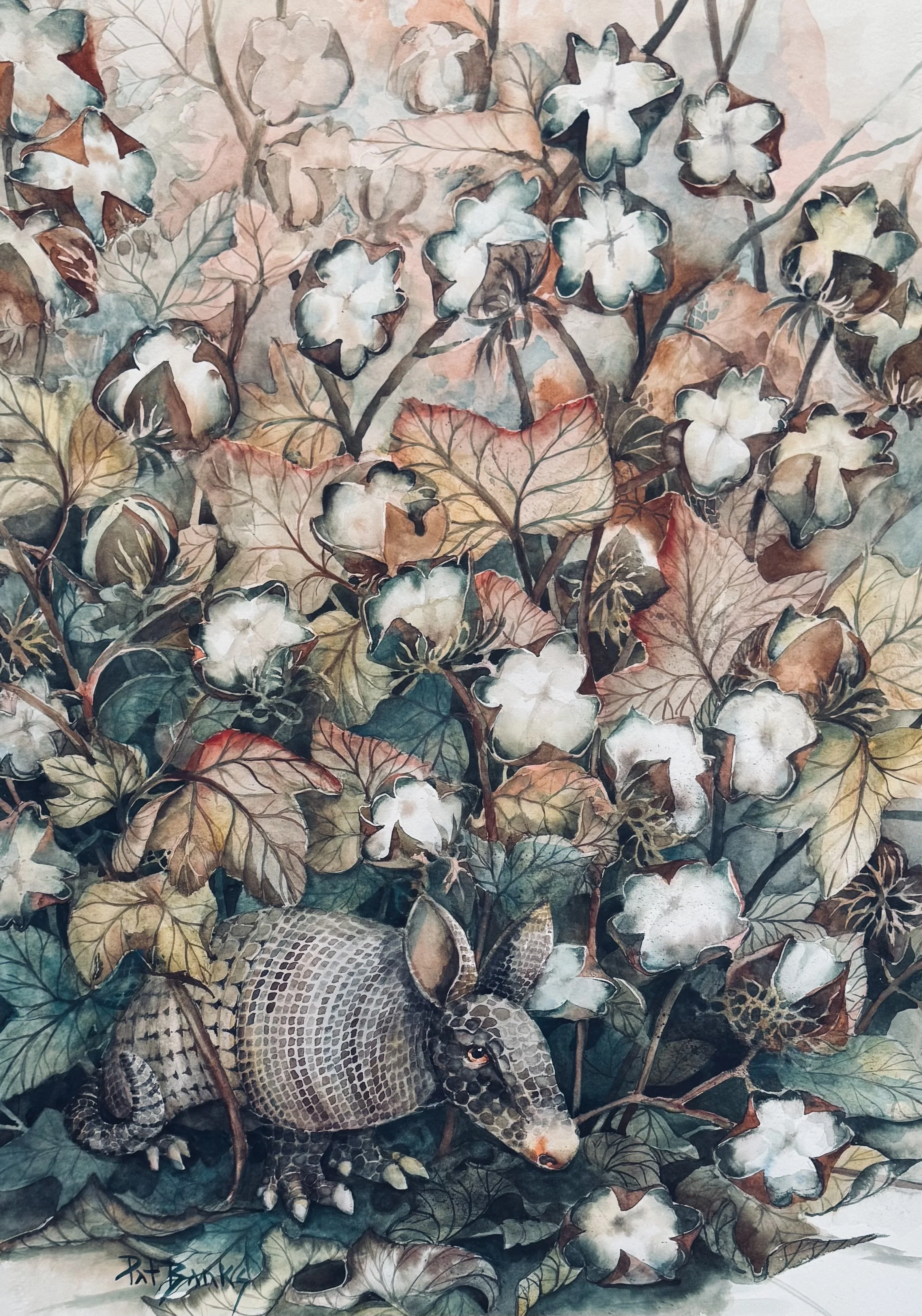 Armadillo In High Cotton