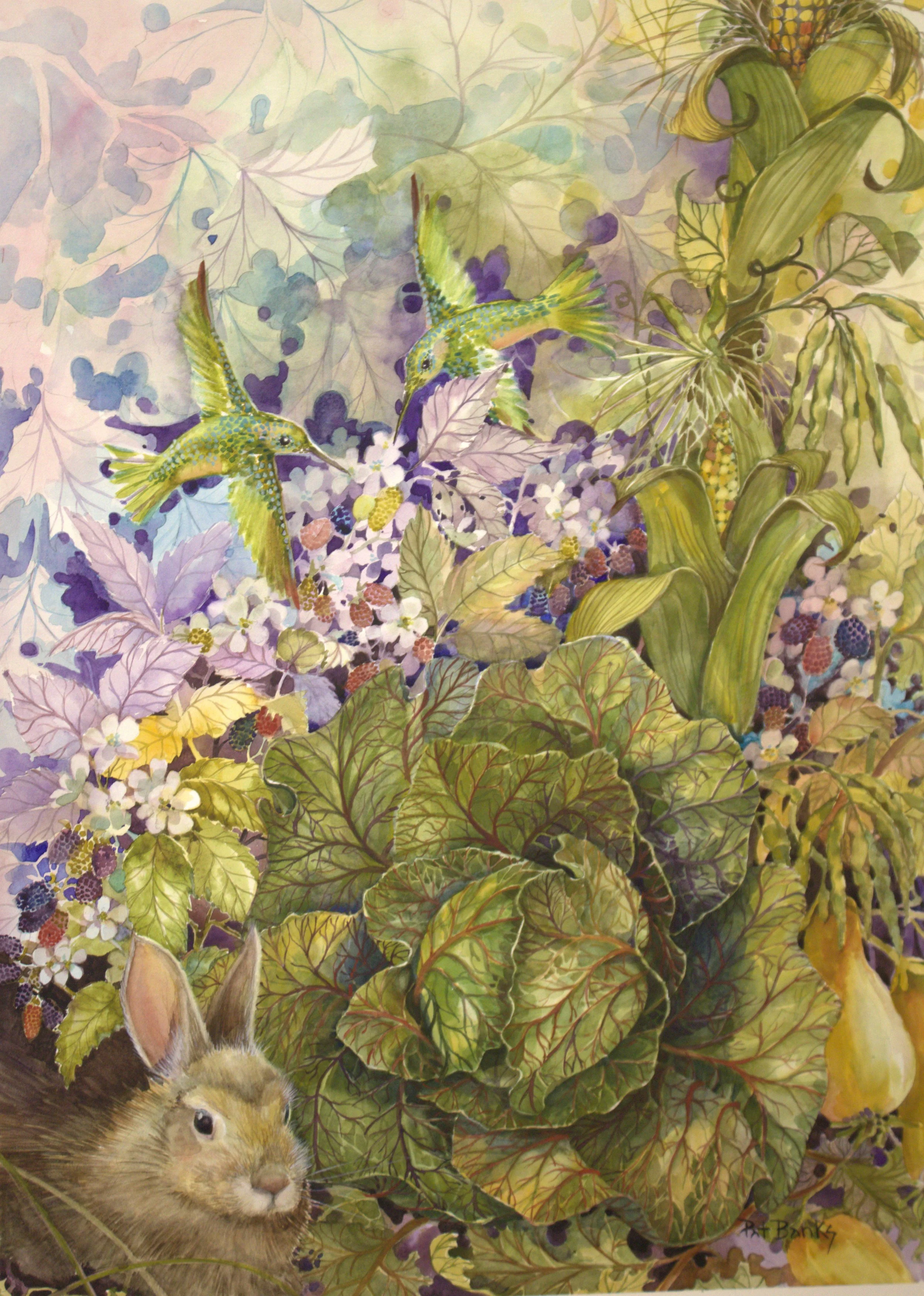 Copy of AV36-2 - Pat Banks - Rabbit, Cabbage, and Hummingbirds.jpg