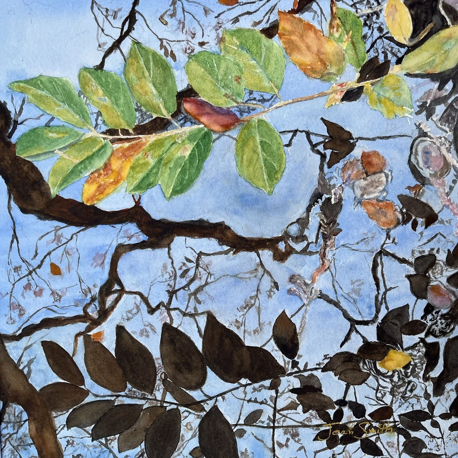 Copy of AV14-2 - Jean Smith - Leaves of Green.jpg