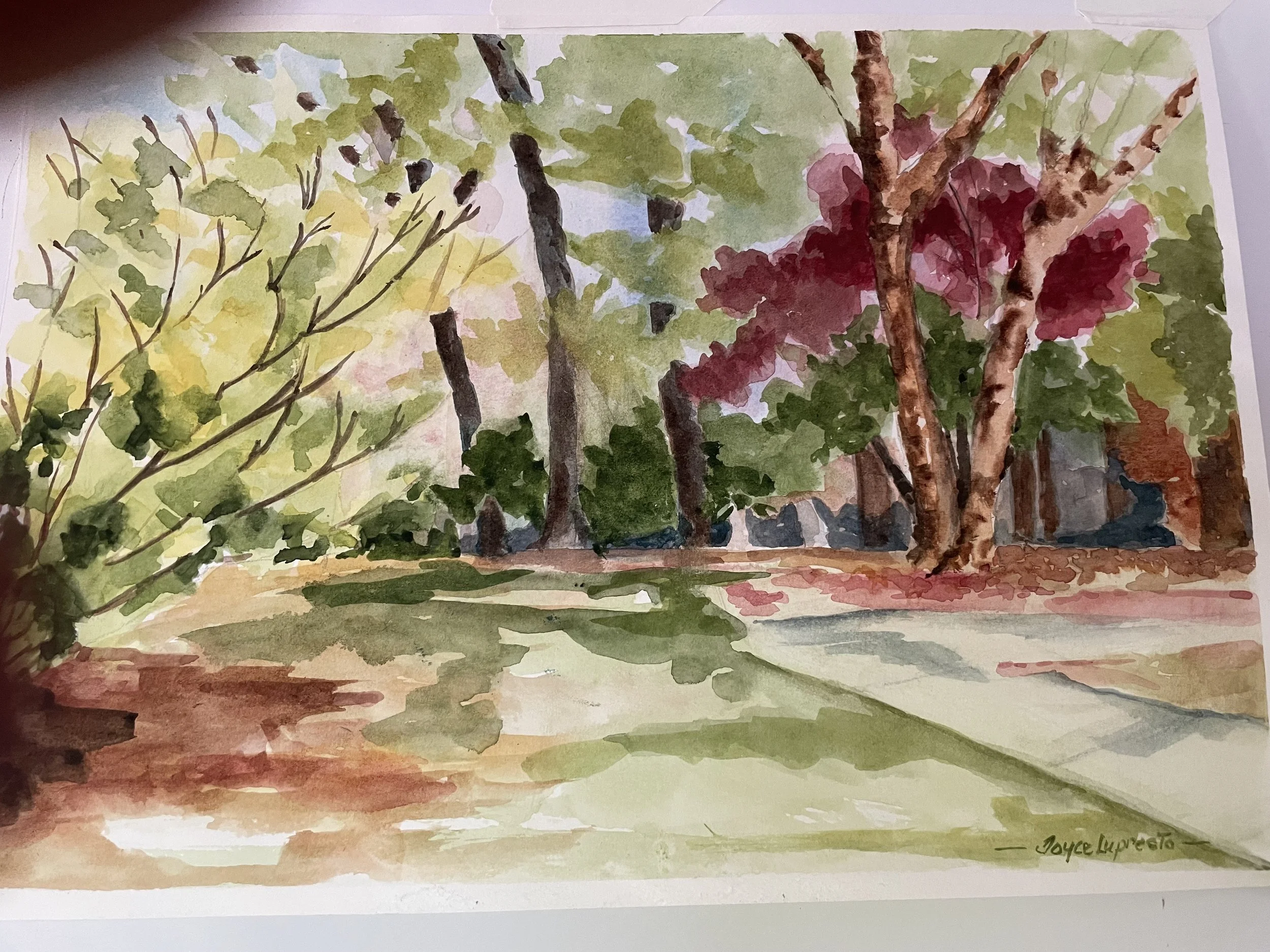 Plein Air Tom Sawyer State Park