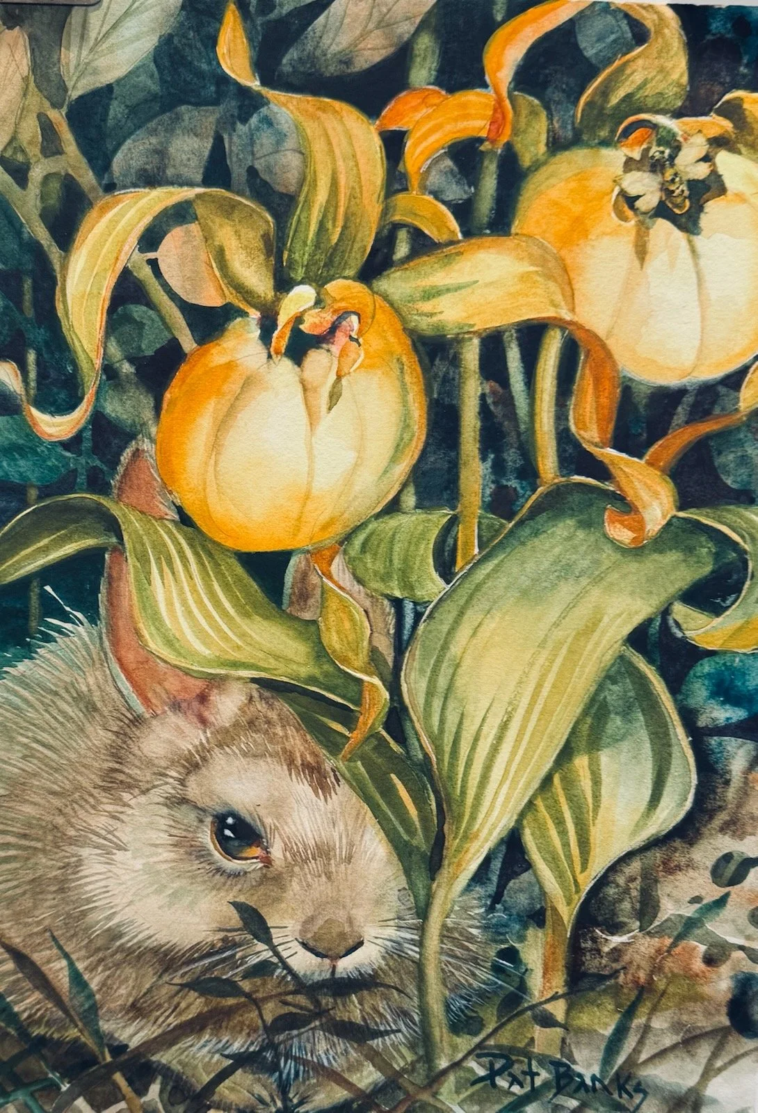 Lady Slipper and Rabbit