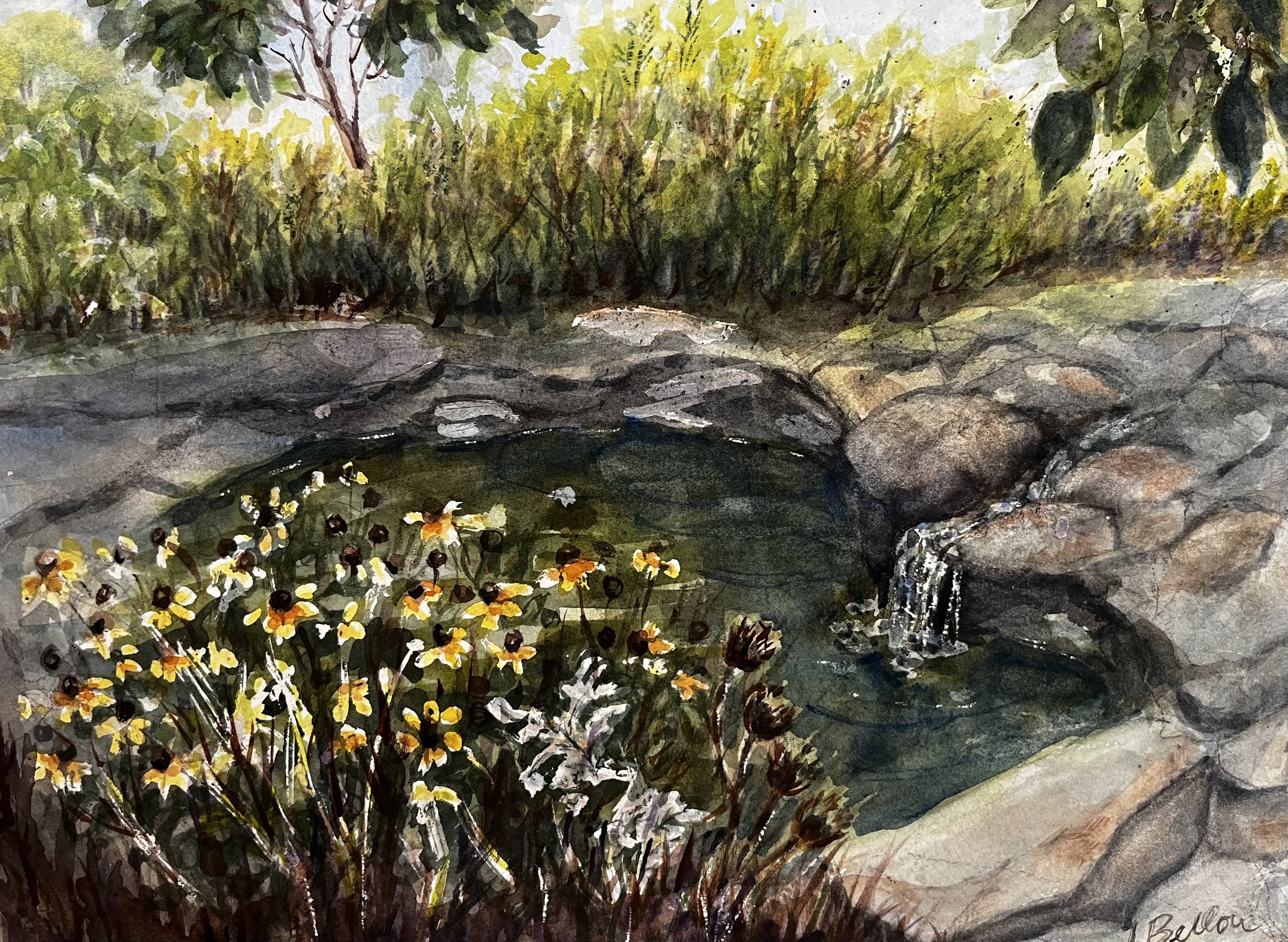 Louisville Nature Center Plein Air