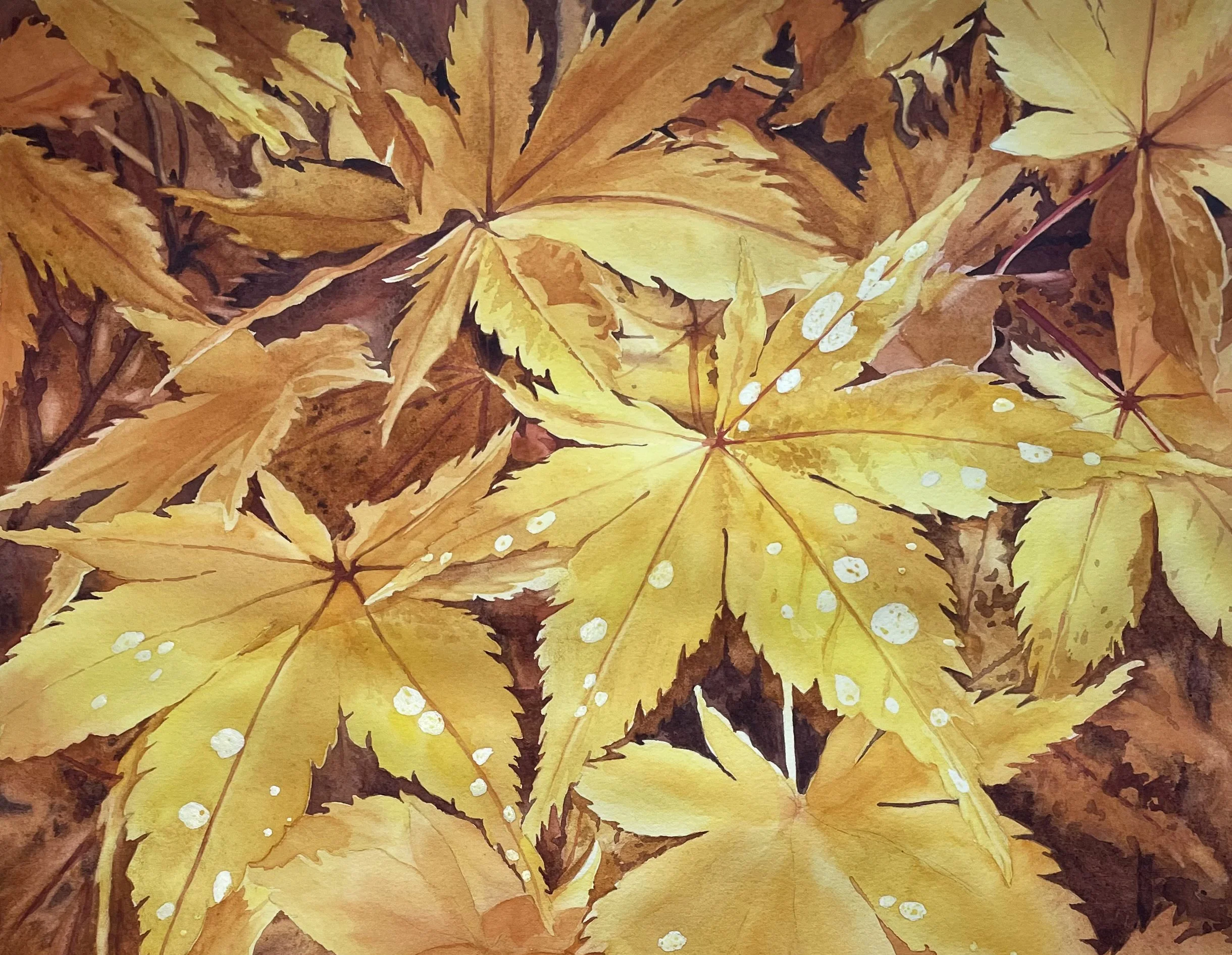 Copy of AV43-1 - Mohana Raje - Autumn Gold.jpg