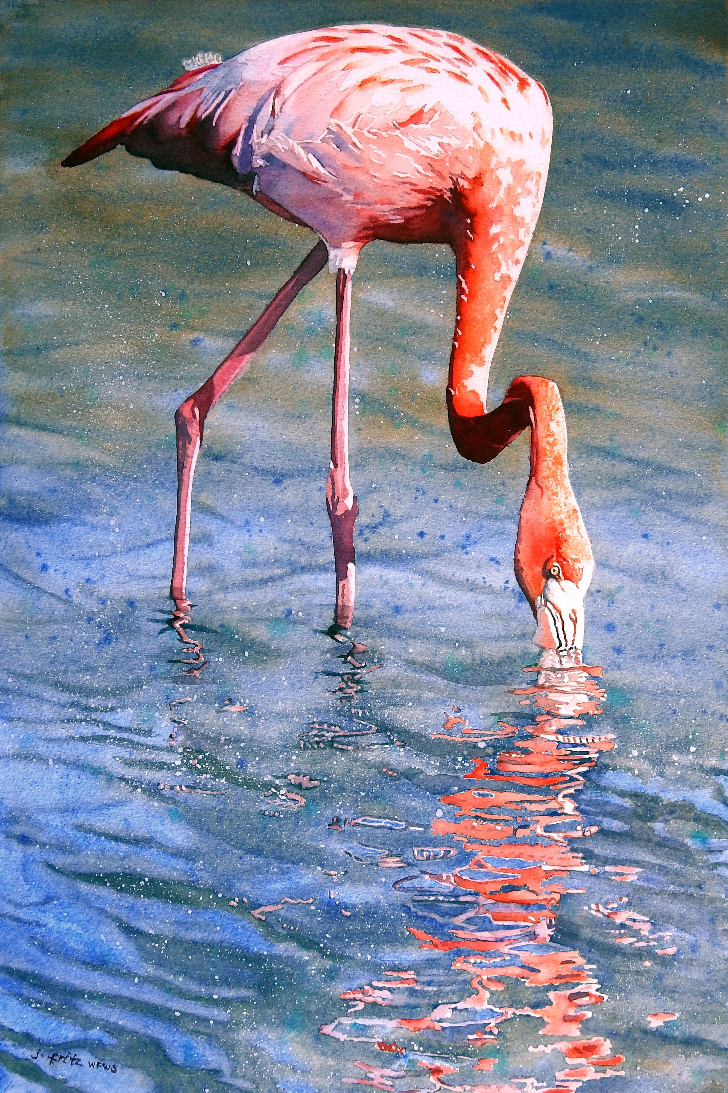 Flamingo