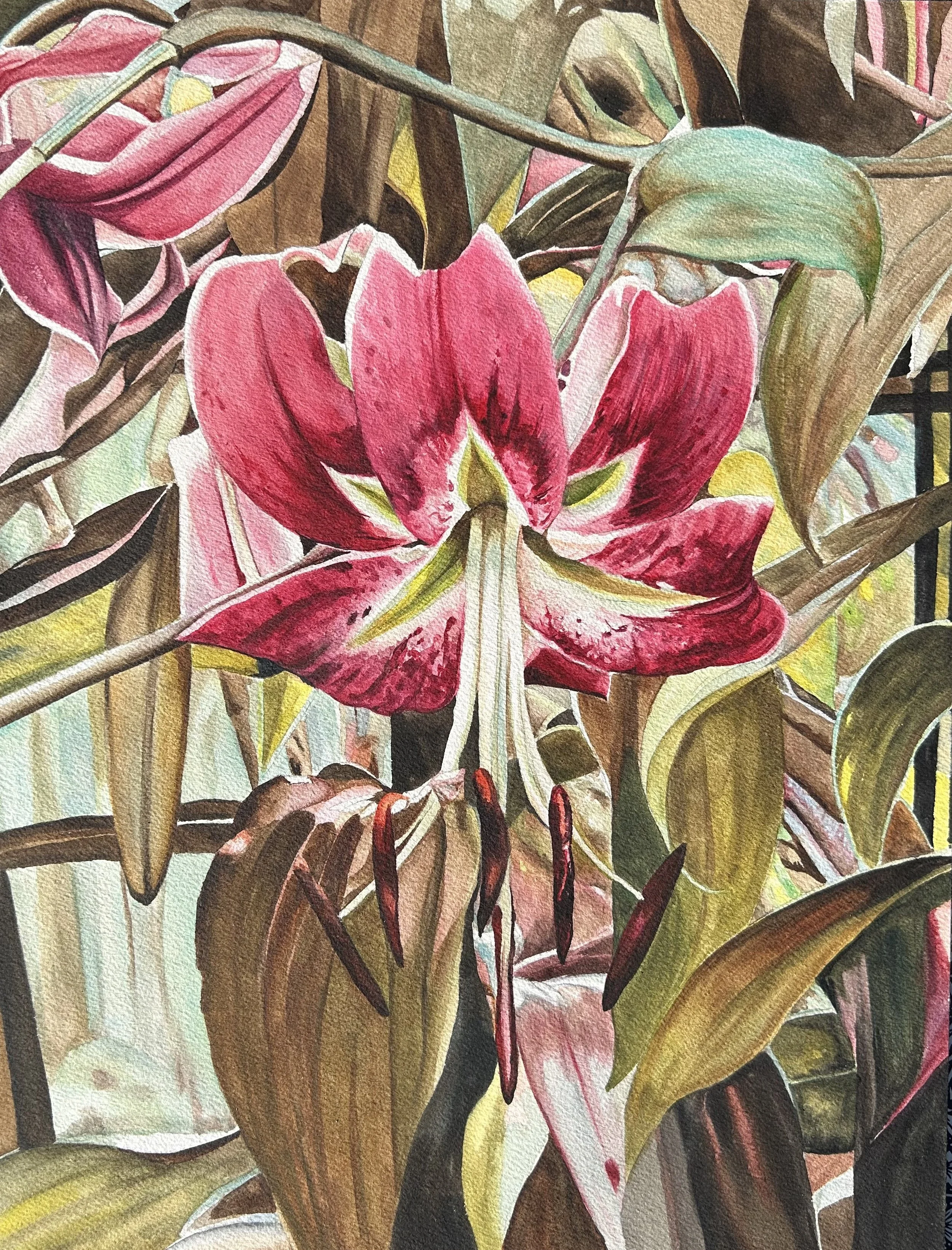 Cascading Lily