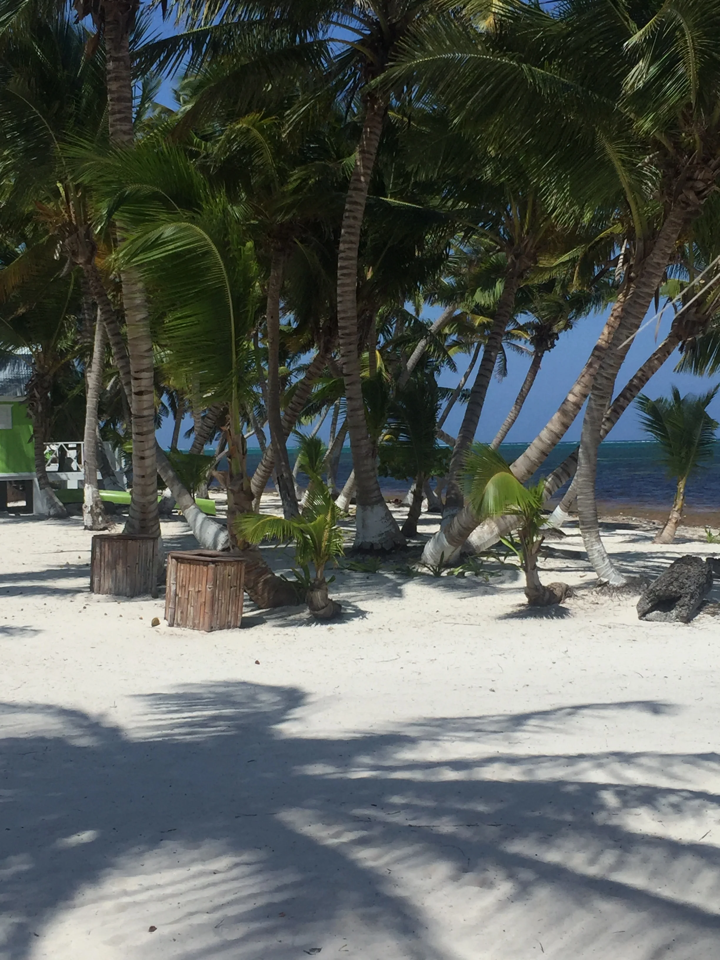 IMG_4625.jpg