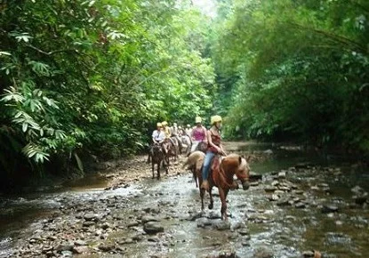 Horseback Image.jpg