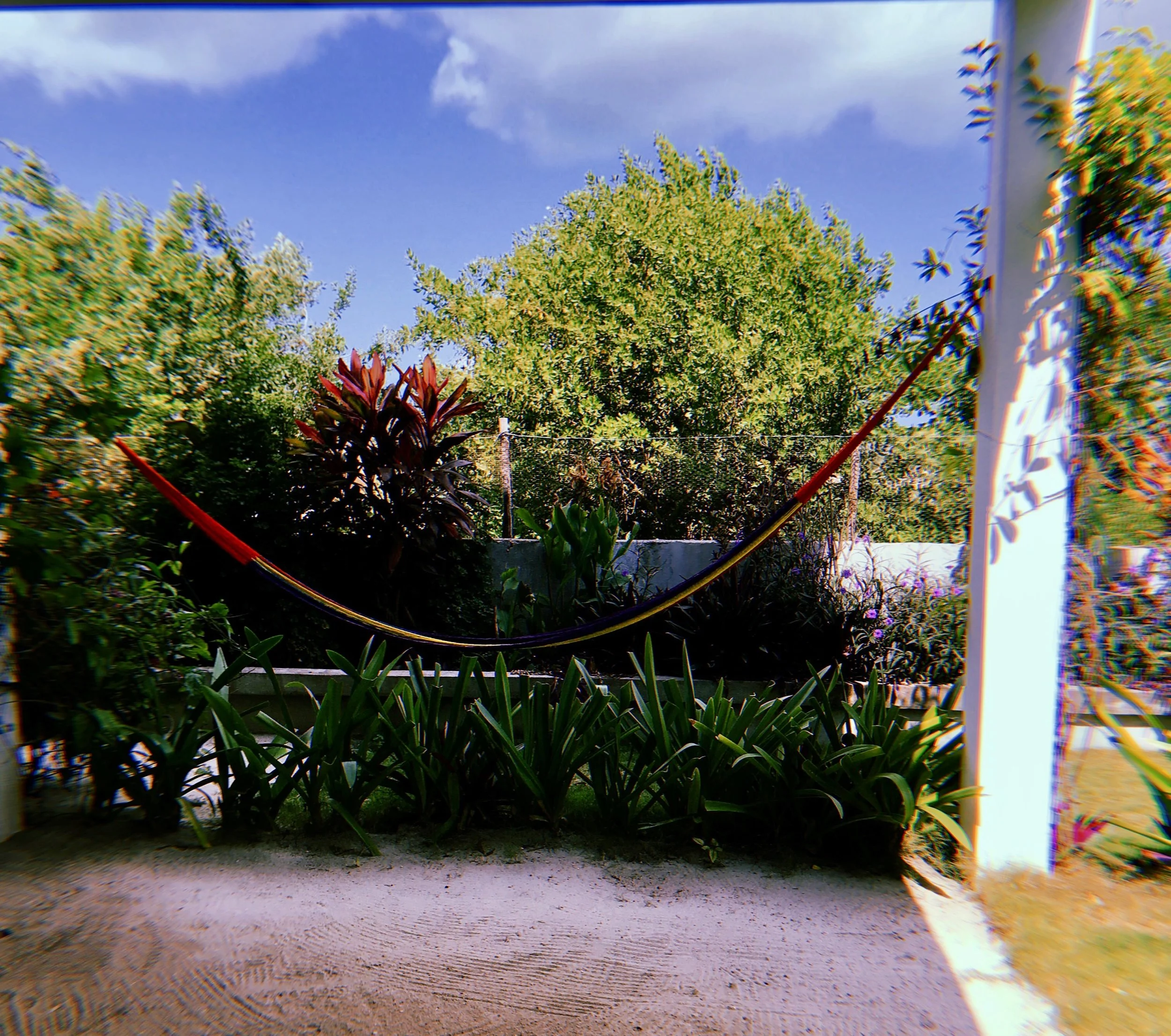 2019-03-28 10:01:15.222.jpeg