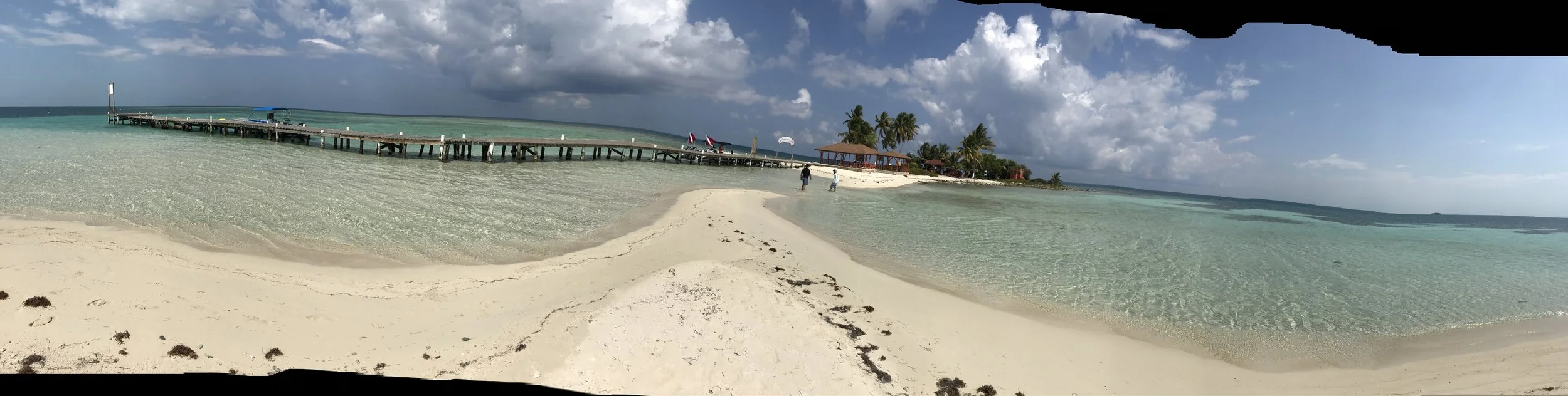 IMG_1601.jpeg