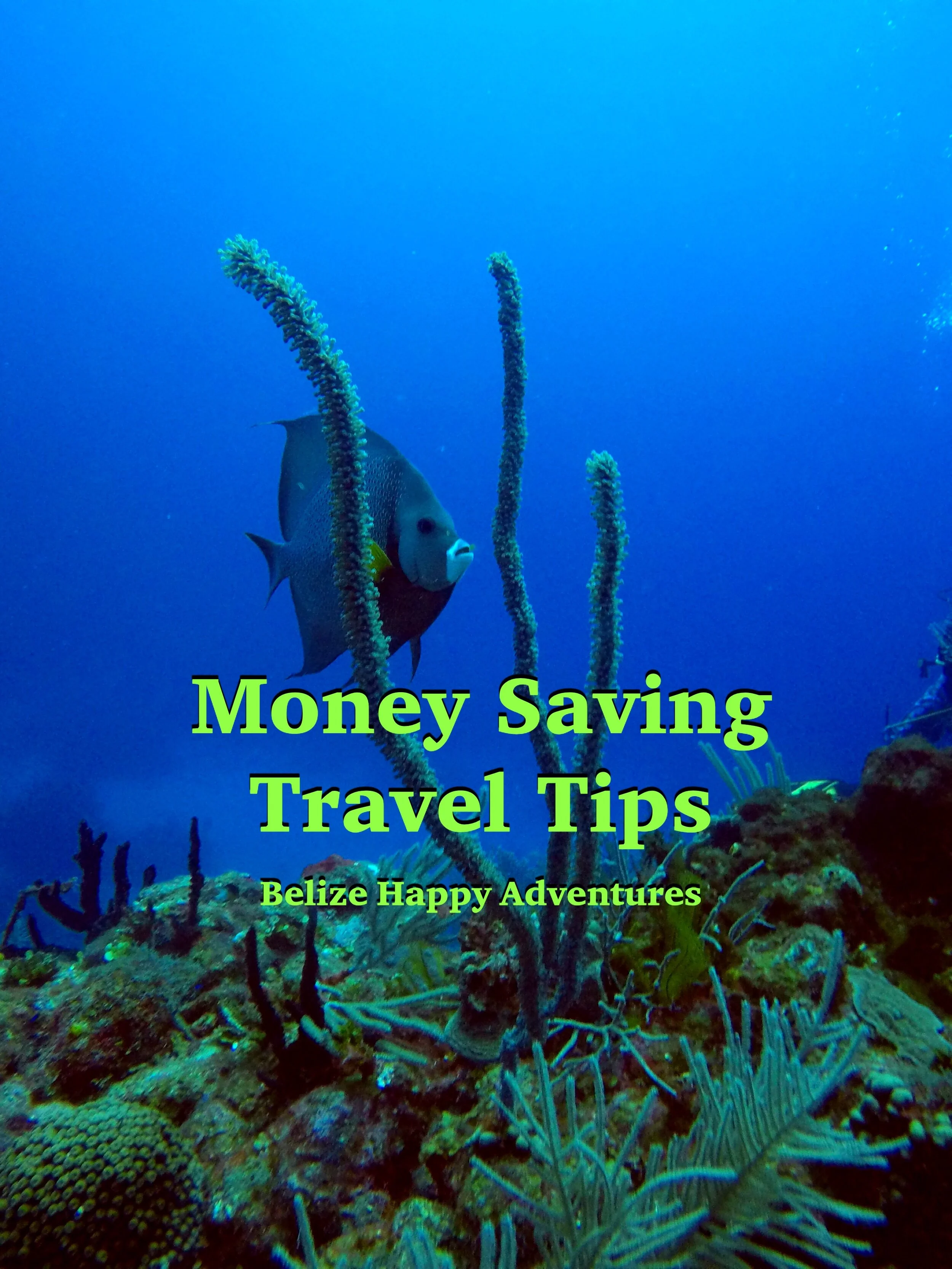 Money Saving Travel Tips!