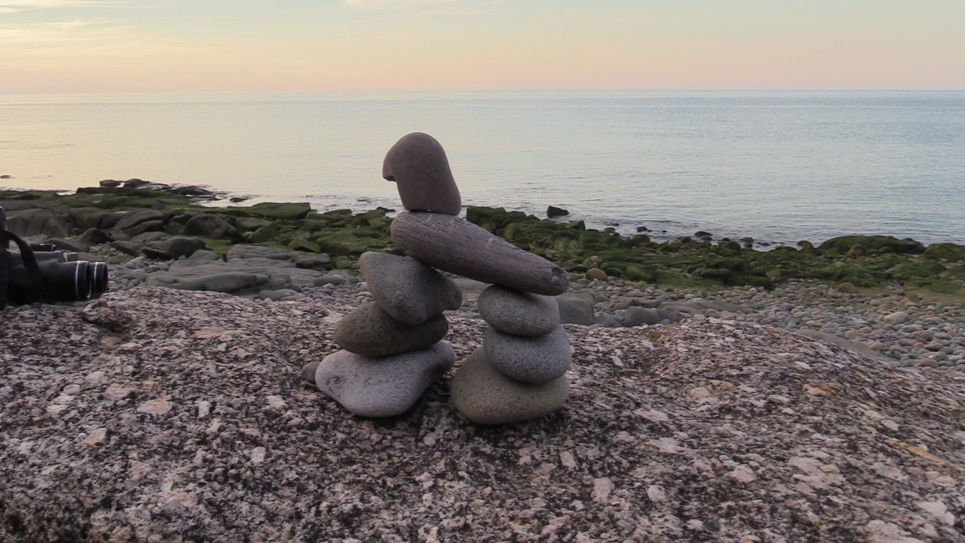 Nova Scotia Bergamasco Gathering Summer of 2019