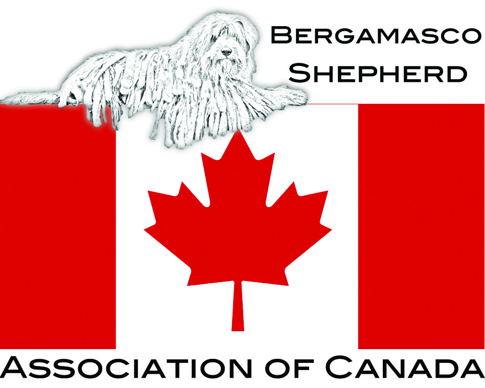 Bergamasco Shepherd Association of Canada