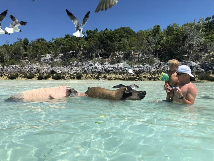 Leighton &amp; Ryder getting up close with the swimming pigs! Crazy to see these huge pigs swimming beside you in the water. They were friendly &amp; were just hoping we had food!