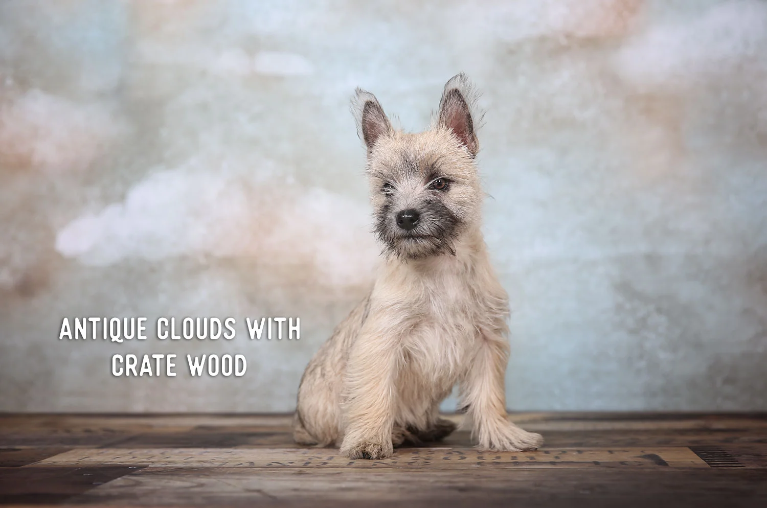 1F8A9253_AntiqueCloudsWCrateWood.jpg