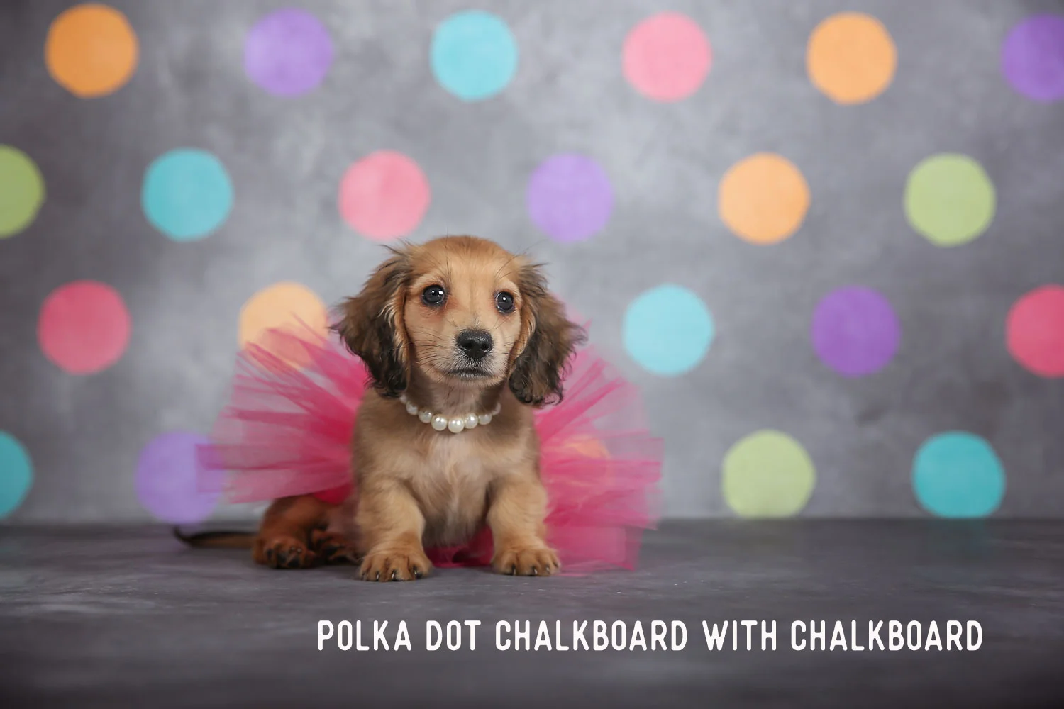 1F8A9842_PolkaDotChalkboardWChalkboard.jpg