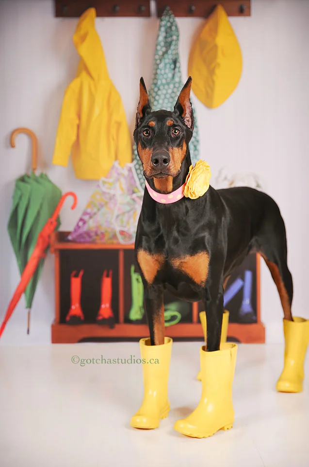 1F8A2460_BOO_RAINBOOTS.jpg