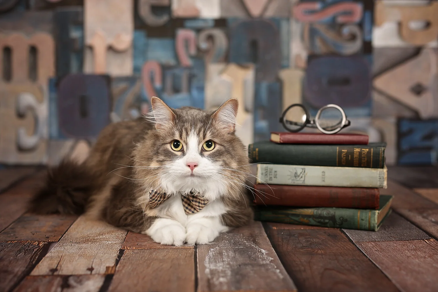 016A6947_juniorteamcat.jpg