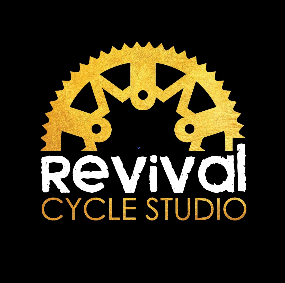 revival cycle studio