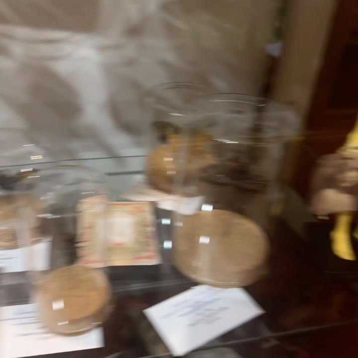 Wait, what did I just see?! #rustycrownpgh #shopsmallpittsburgh