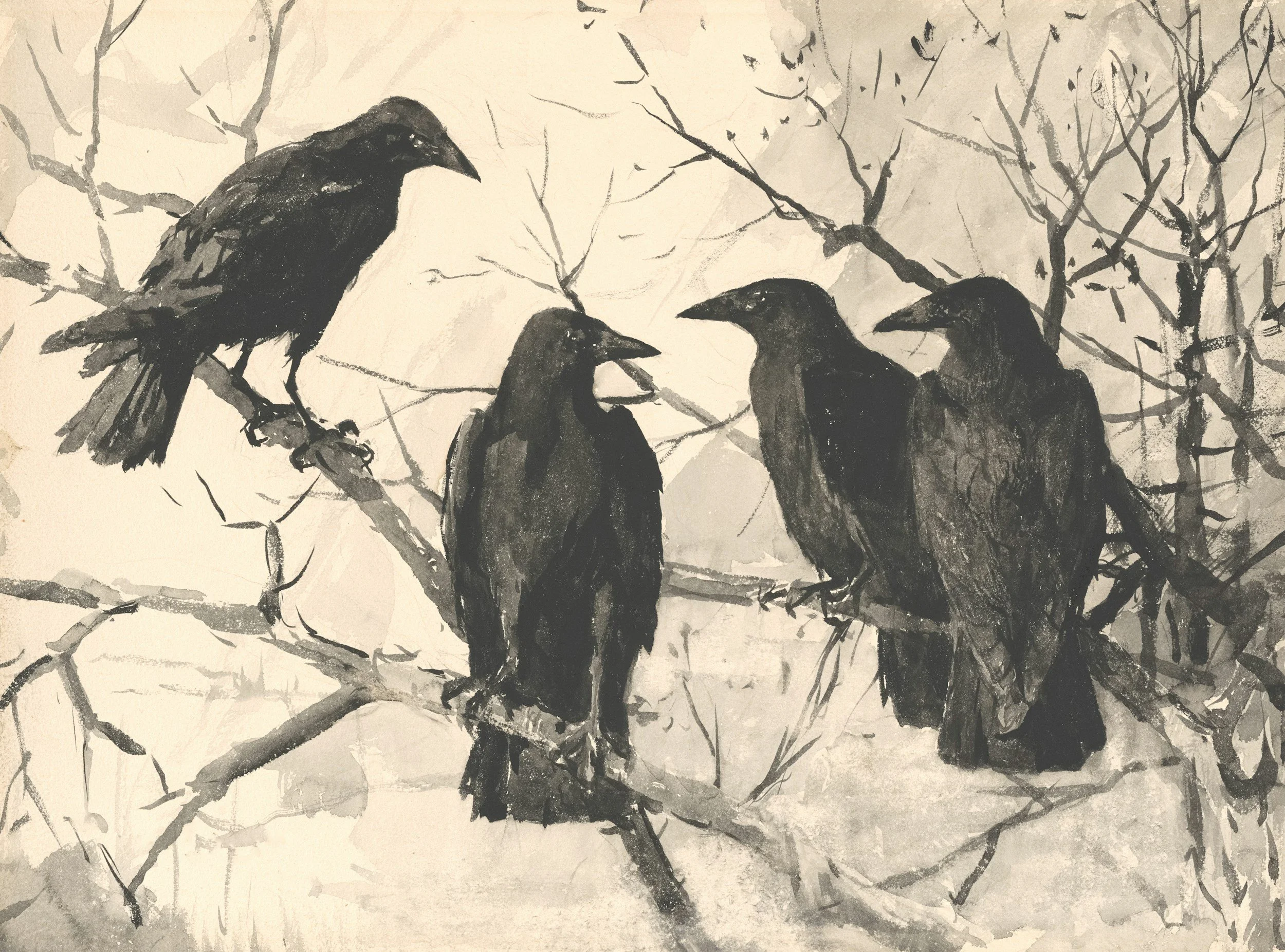 🖤🪶 CROW PARTY CALLING 🪶🖤